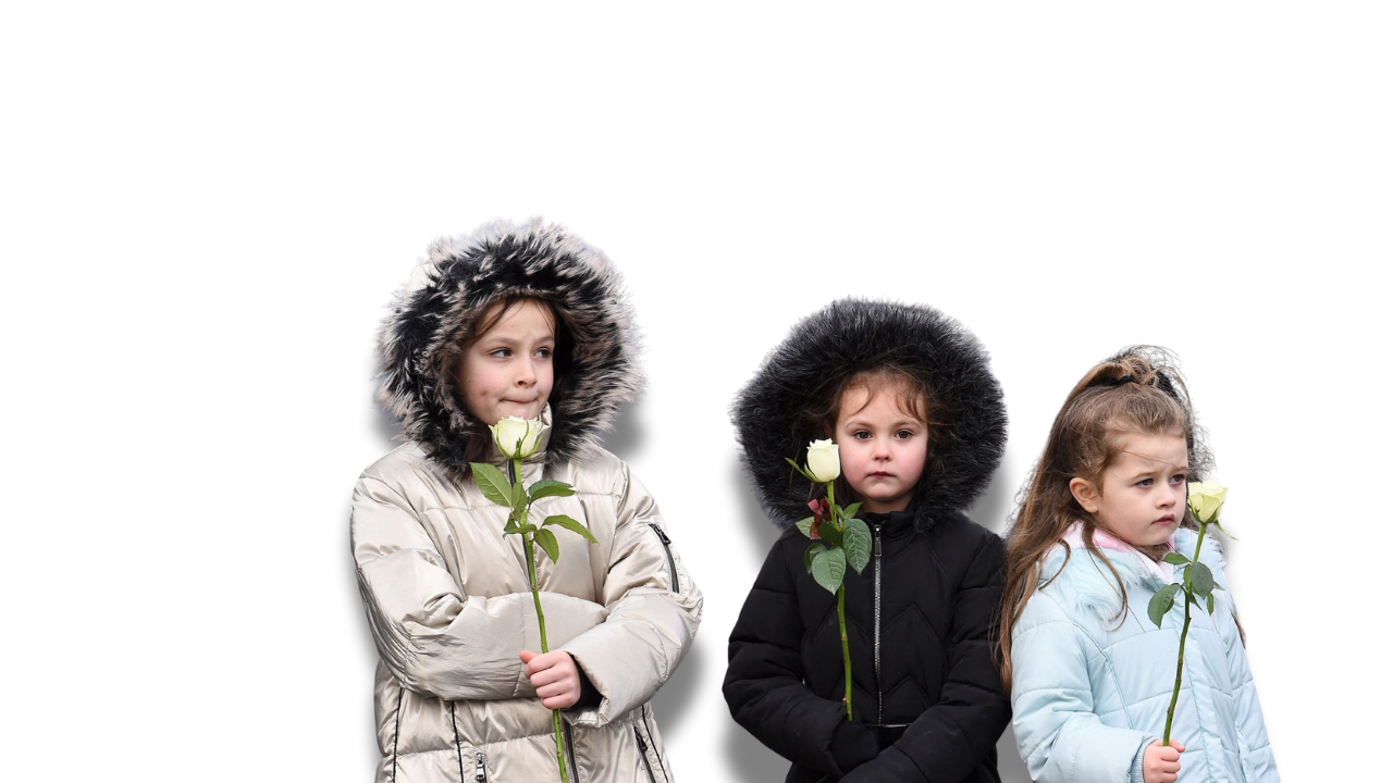 The Irish Unification Act