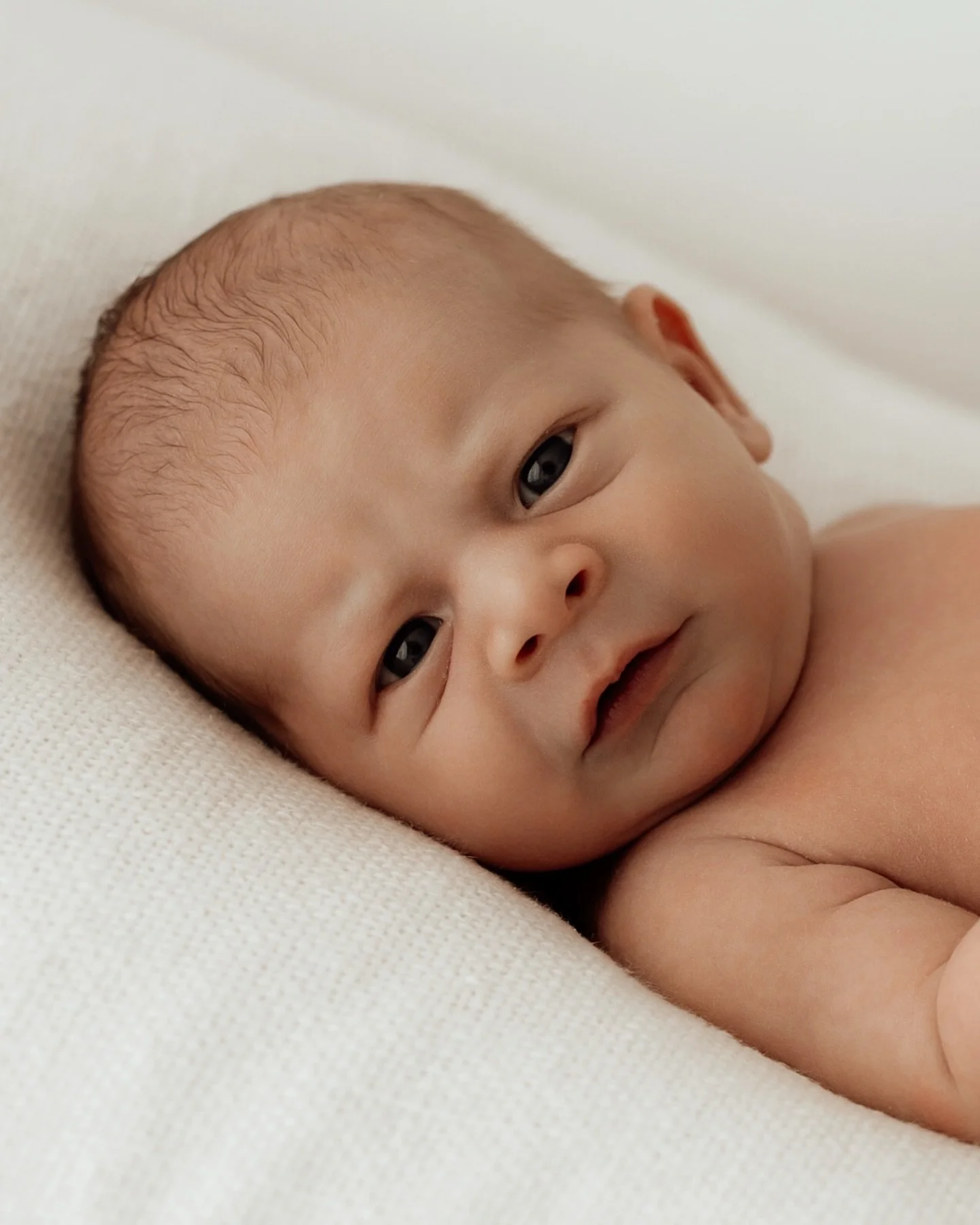 Scroll for some wholesome family memories 🤩🤩🤩

The Willows Photography Melbourne maternity, newborn and family photographer Melbourne creative studio Werribee and surrounds www.thewillowsphotography.com.au 
#melbournephotographer #ignitedmotherhoo