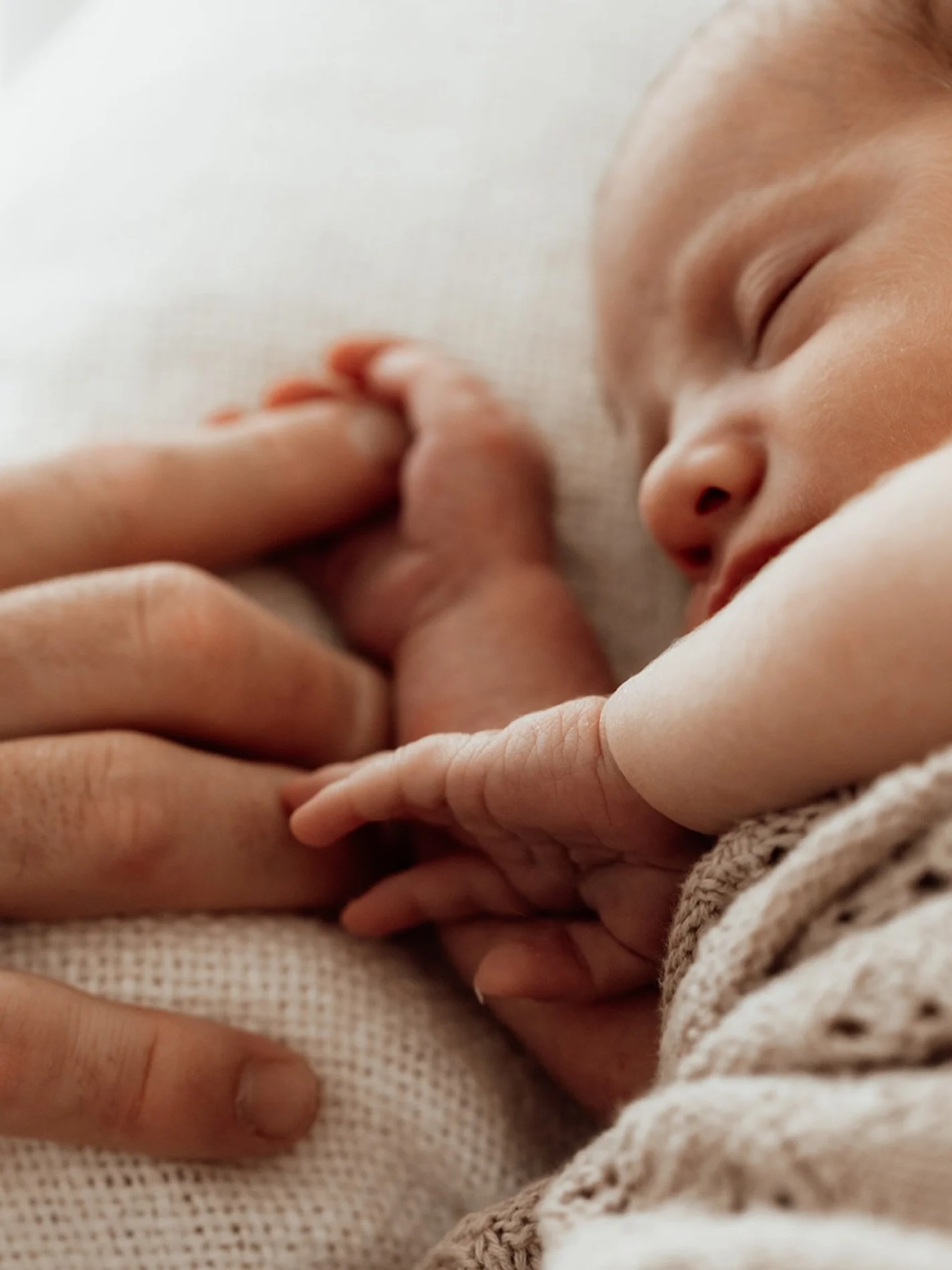 NOW BOOKING till JUNE 2026 💖

The Willows Photography Melbourne maternity, newborn and family photographer Melbourne creative studio Werribee and surrounds www.thewillowsphotography.com.au