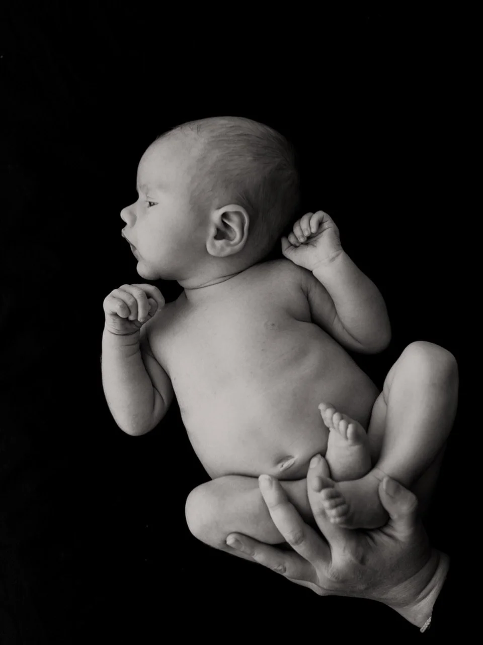 Hey little man 🤩🤩🤩

The Willows Photography Melbourne maternity, newborn and family photographer Melbourne creative studio Werribee and surrounds www.thewillowsphotography.com.au