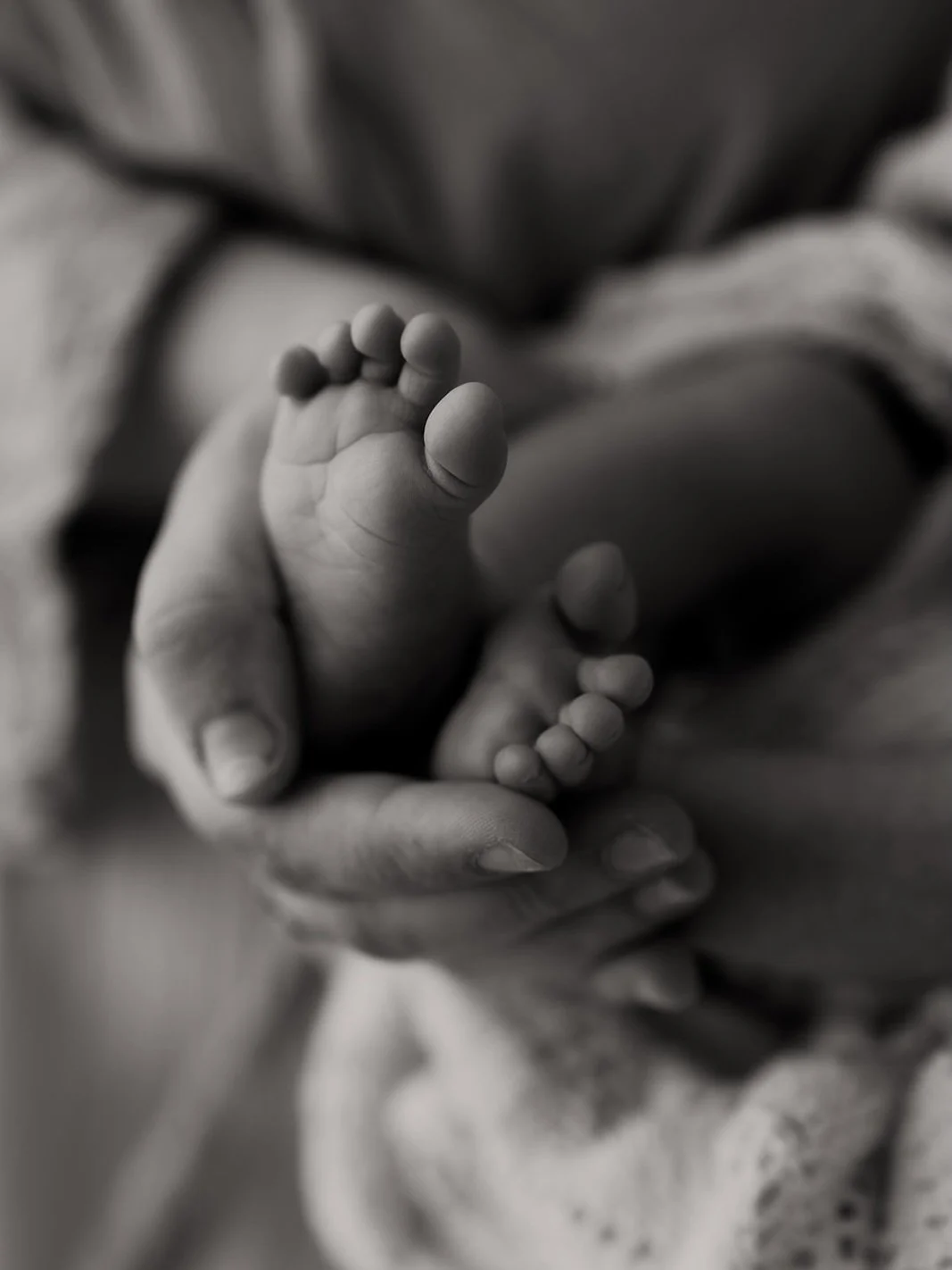 Did you know that siblings are welcome to your newborn experience!! 💖

It&rsquo;s the chunky little hand in the last image for me 🥹

The Willows Photography Melbourne maternity, newborn and family photographer Melbourne creative studio Werribee and