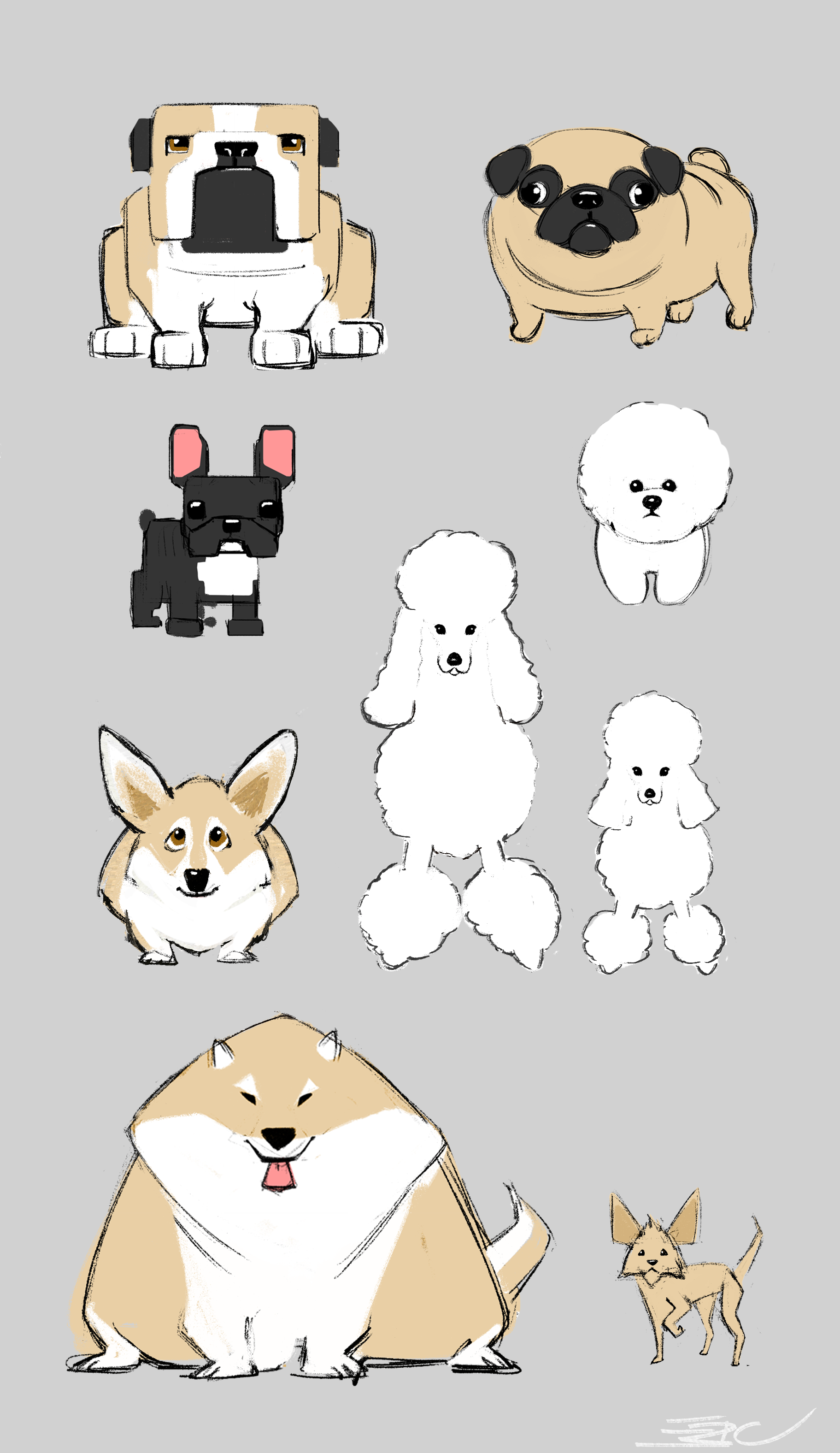 "Pet Party Parade"  Animal Shape Exploration 