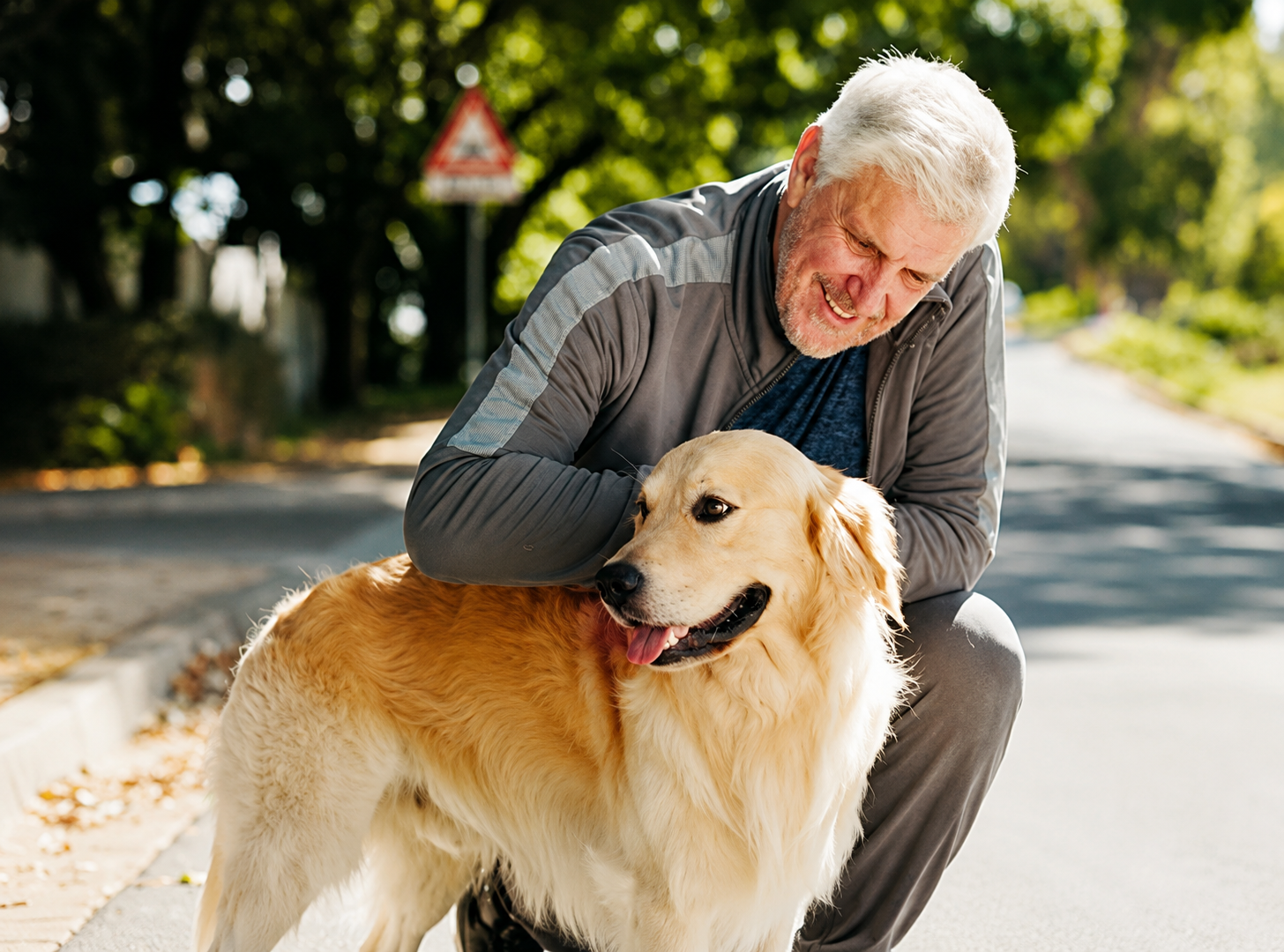 Best Dog Leads for Seniors