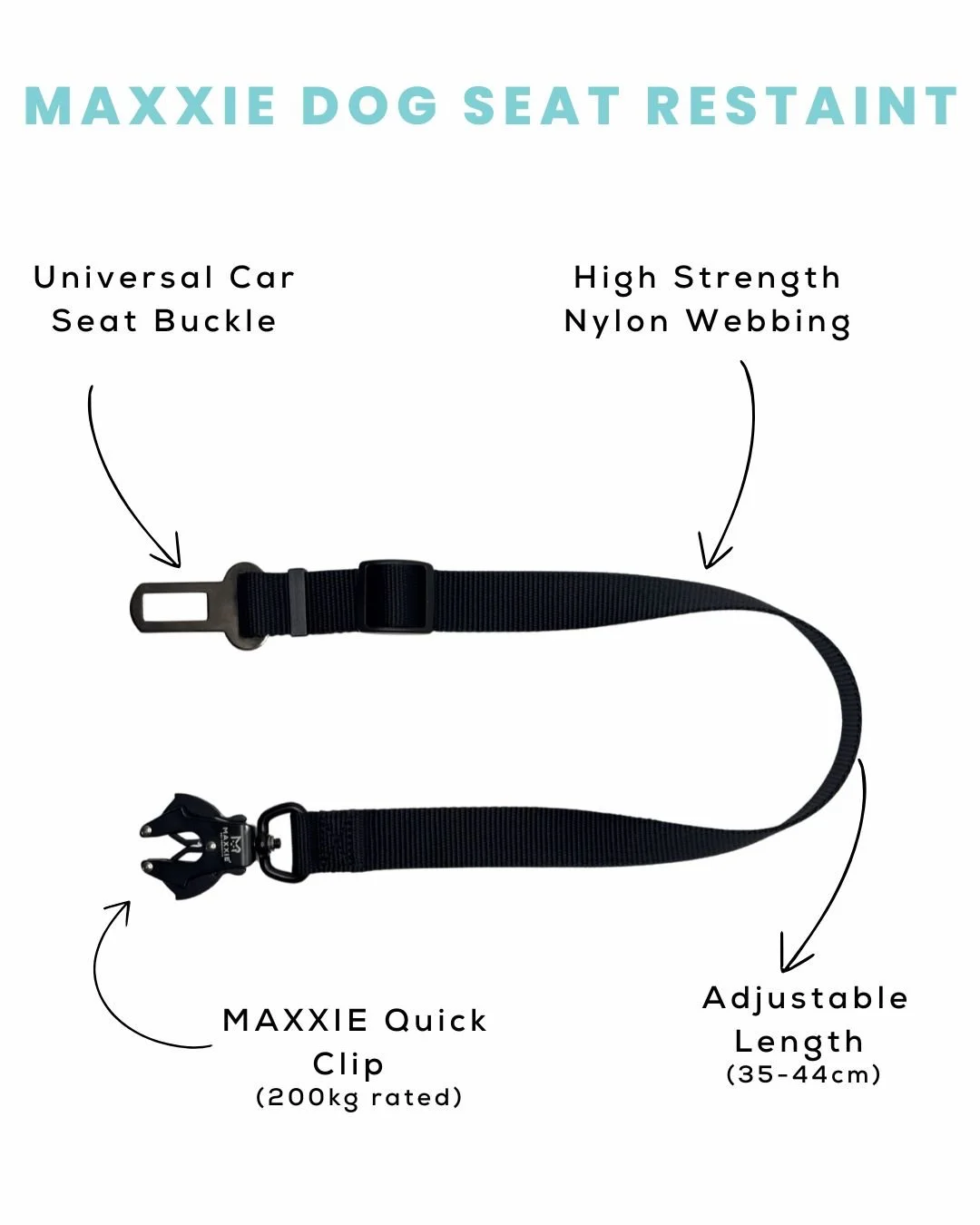 Maxxie Dog Seat Tether.jpg
