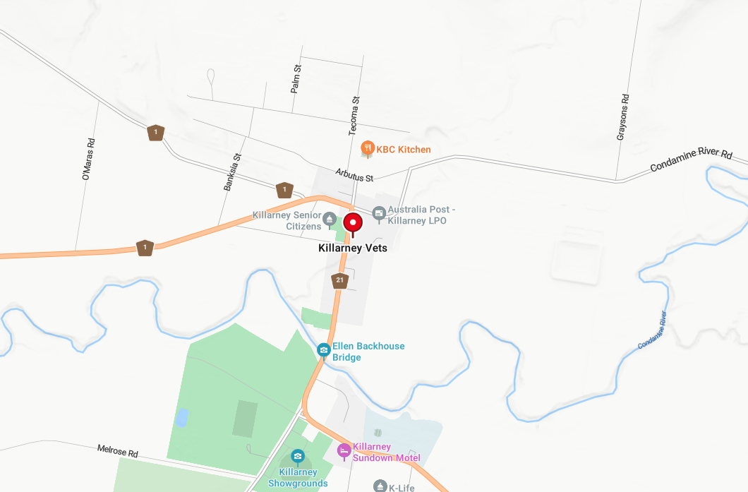 Find Maxxie Pet Products at Killarney Vets