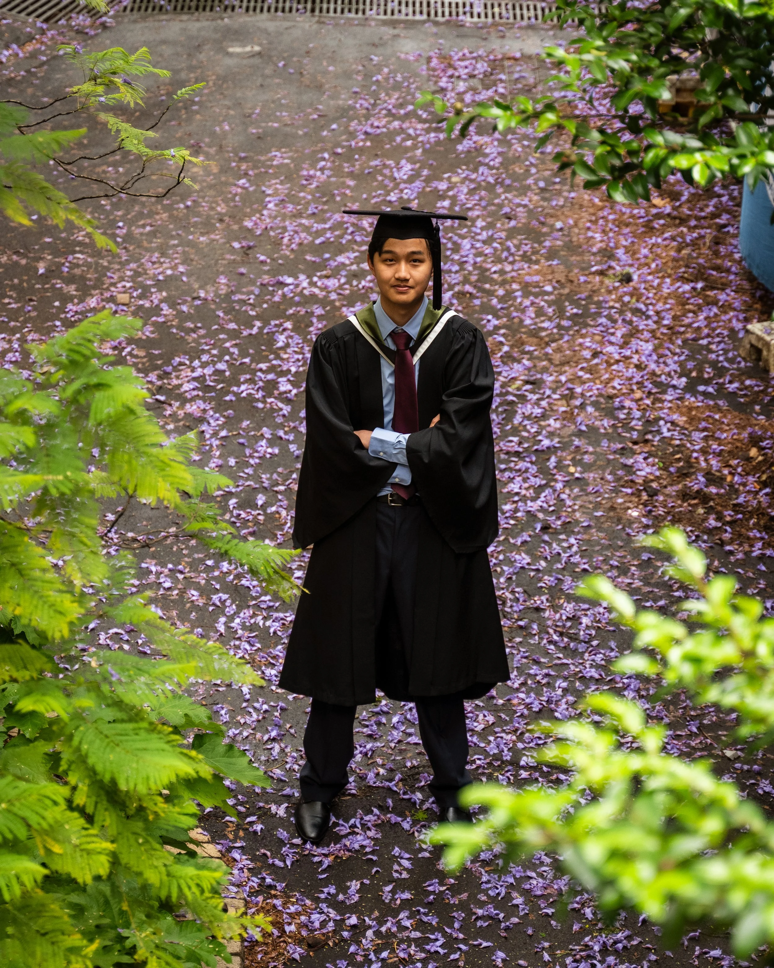 A young man in graduation gown and cap standing on a pathway covered with purple flower petals, with green foliage framing the scene.