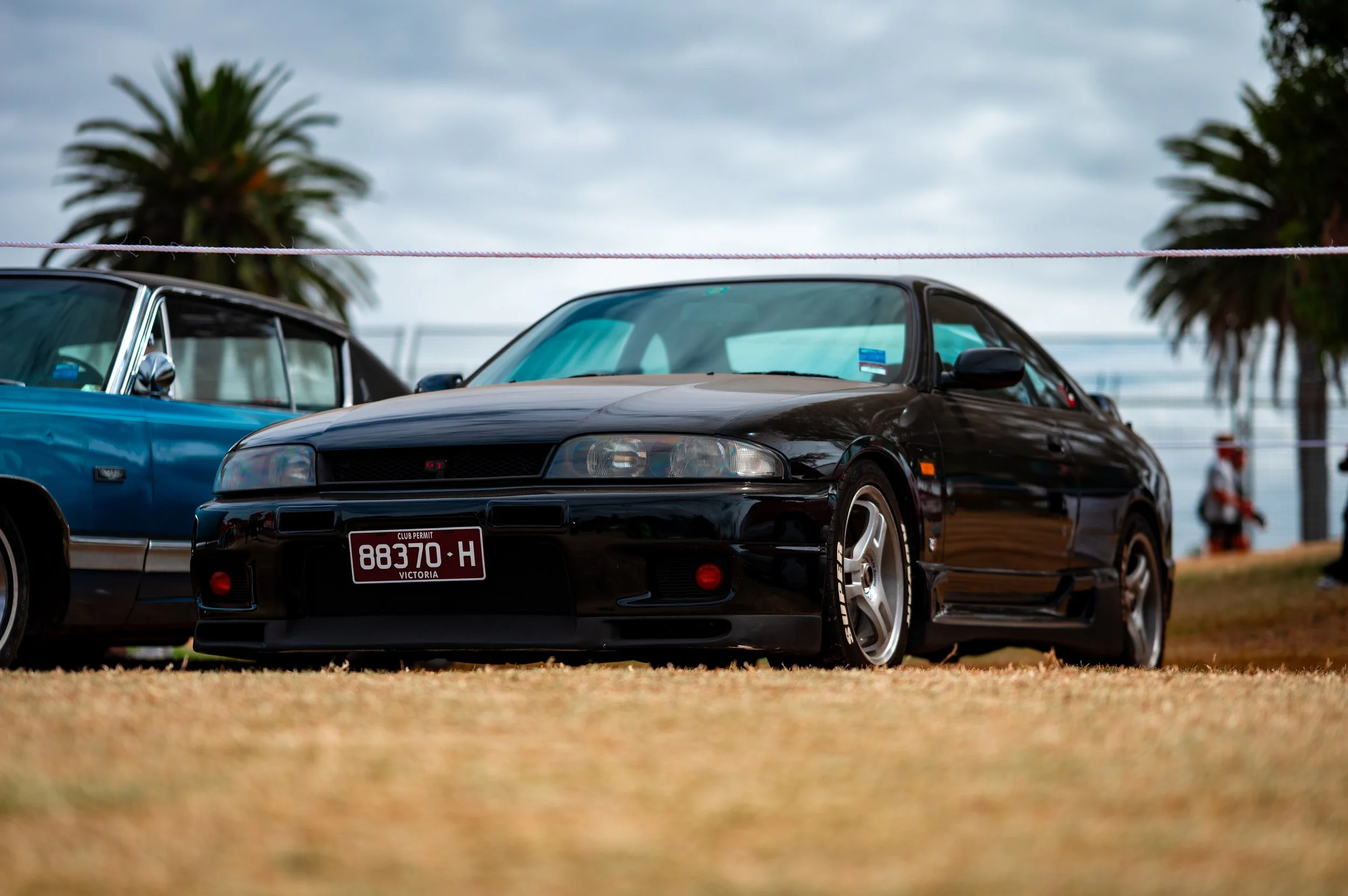 Black sports car parked on grass next to a blue vehicle, with palm trees in the background