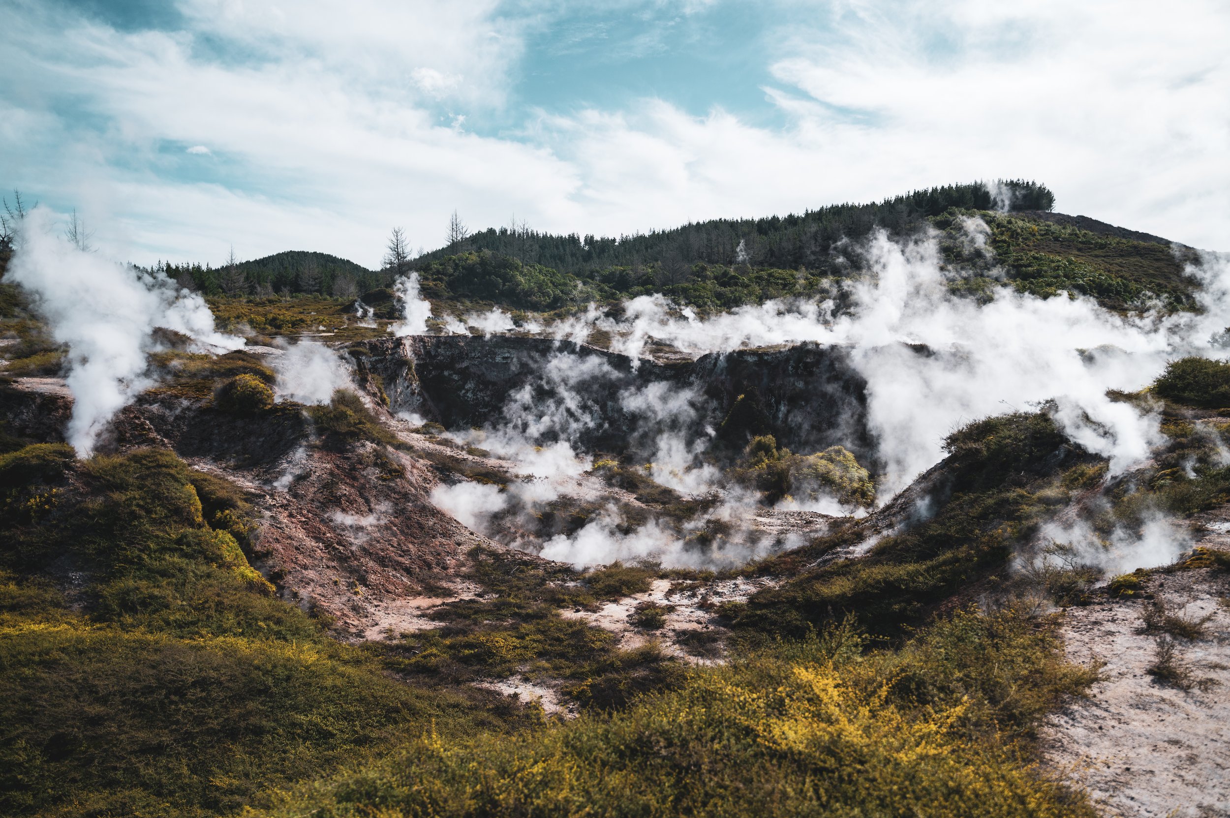 Geysers erupting with steam rising from the ground in a geothermal area, surrounded by green bushes and distant trees under a partly cloudy sky.