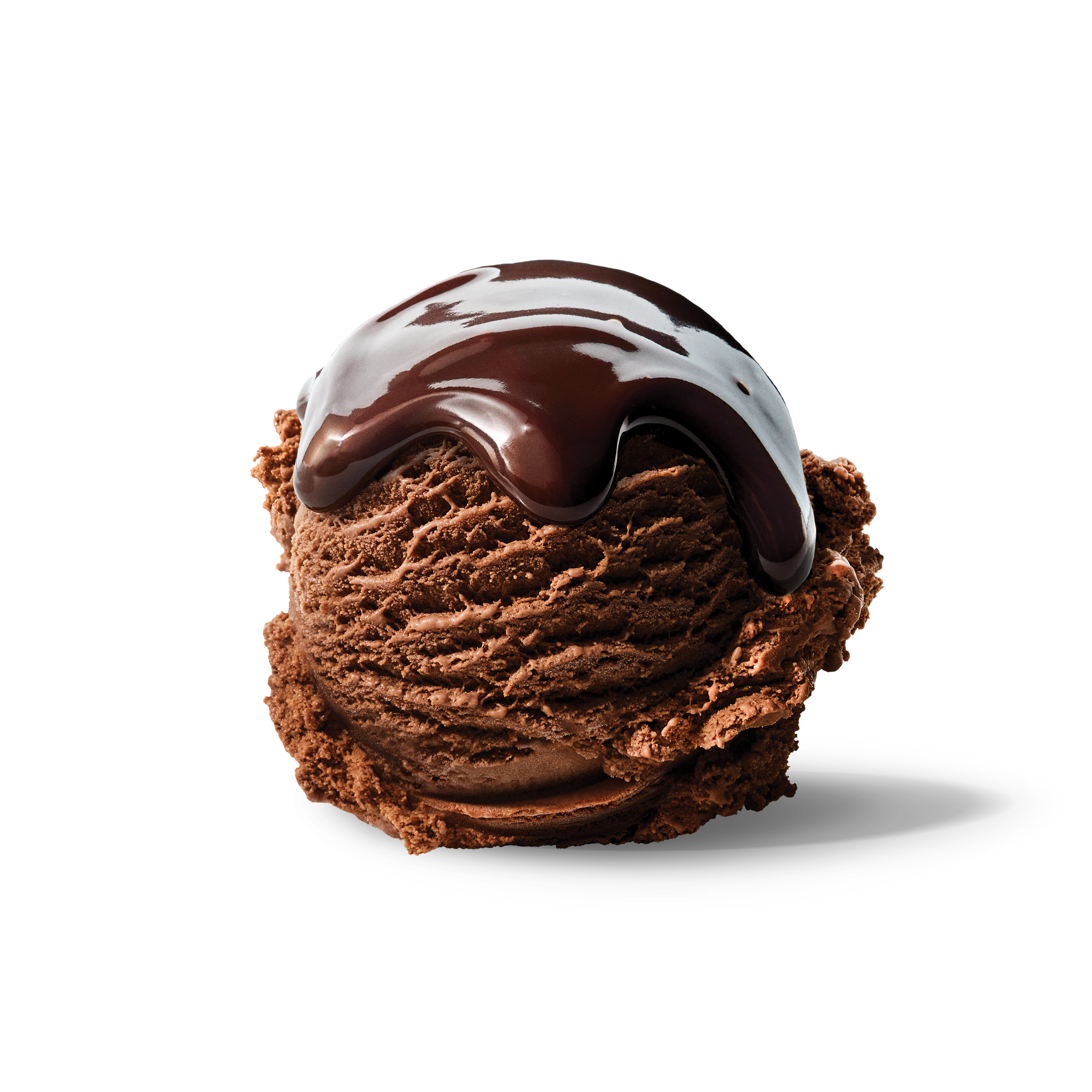 2021_BR_Scoops_22rt_chocolate_fudge_top.png