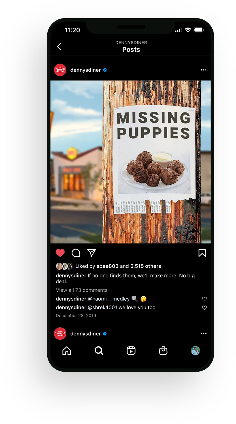 MissingPups.webp