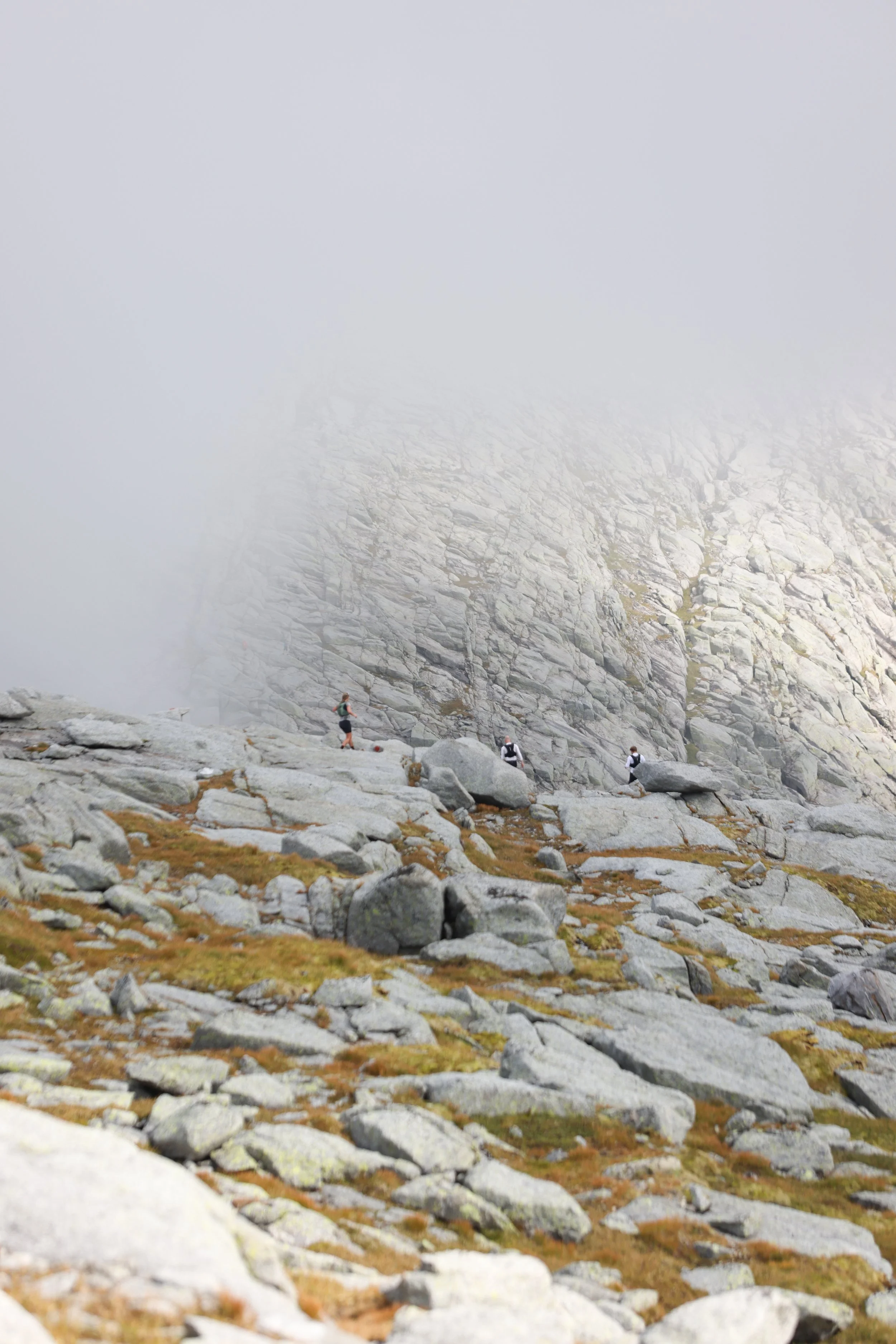 Løpere som ferdes på Syv Søstre under Craft Syv Søstre Skyrace 2026