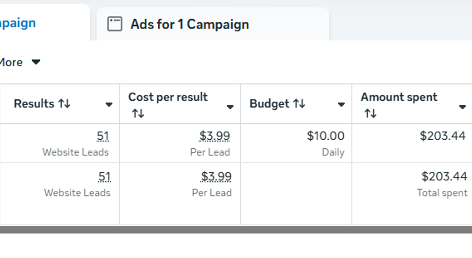 Screenshot of a digital advertising campaign performance report showing results for website leads, with a total of 51 leads, cost per lead of $3.99, daily budget of $10, and total amount spent of $203.44.