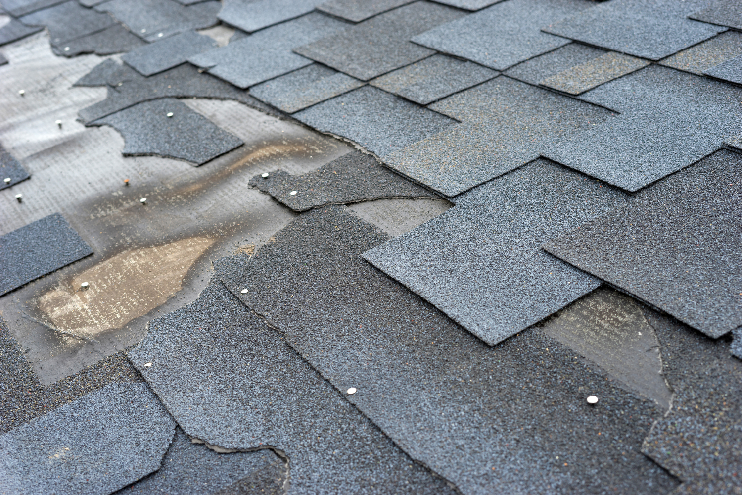 Top Signs Your Home Needs Immediate Roof Repair