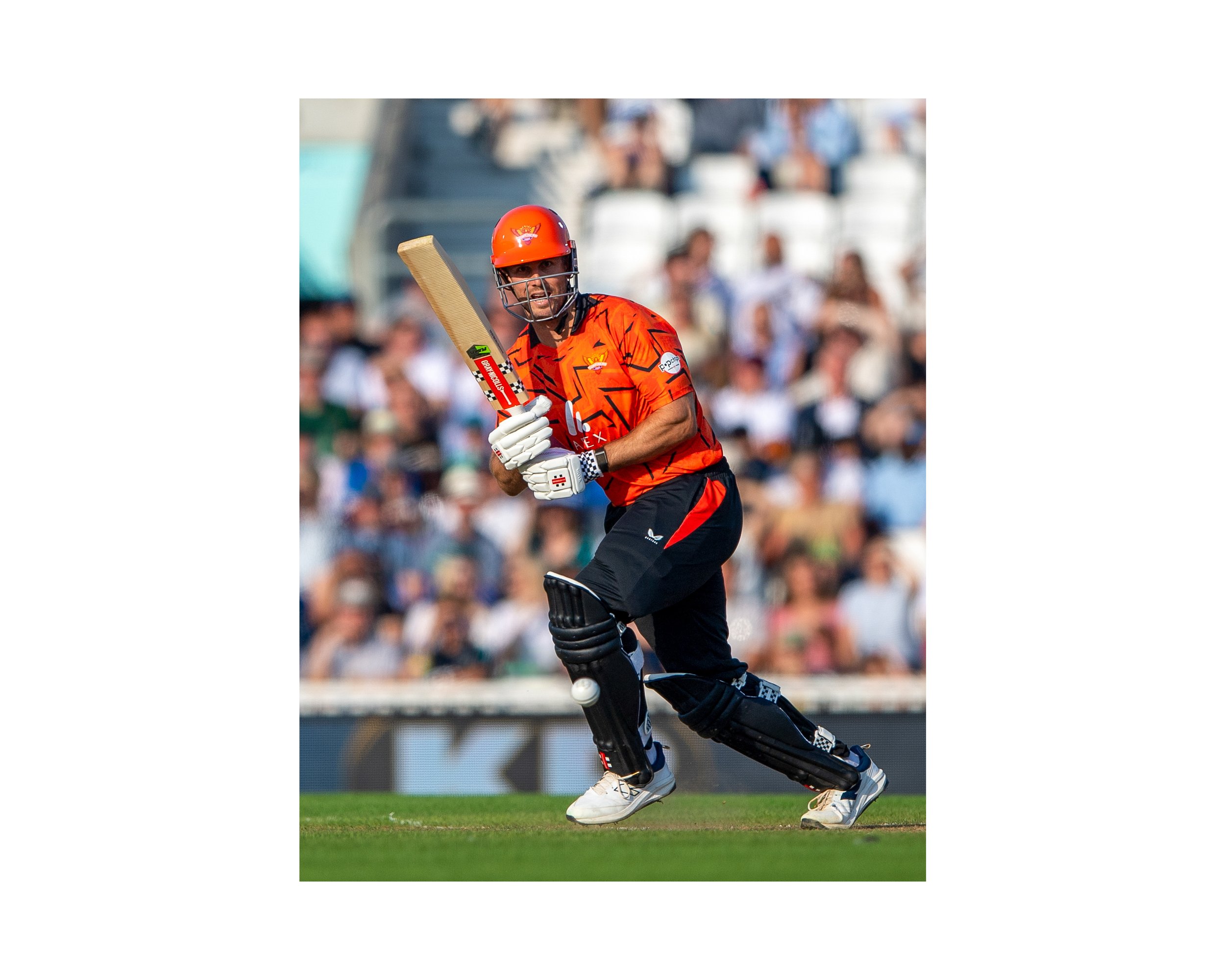 MI London V Sunrisers Leeds, Oval