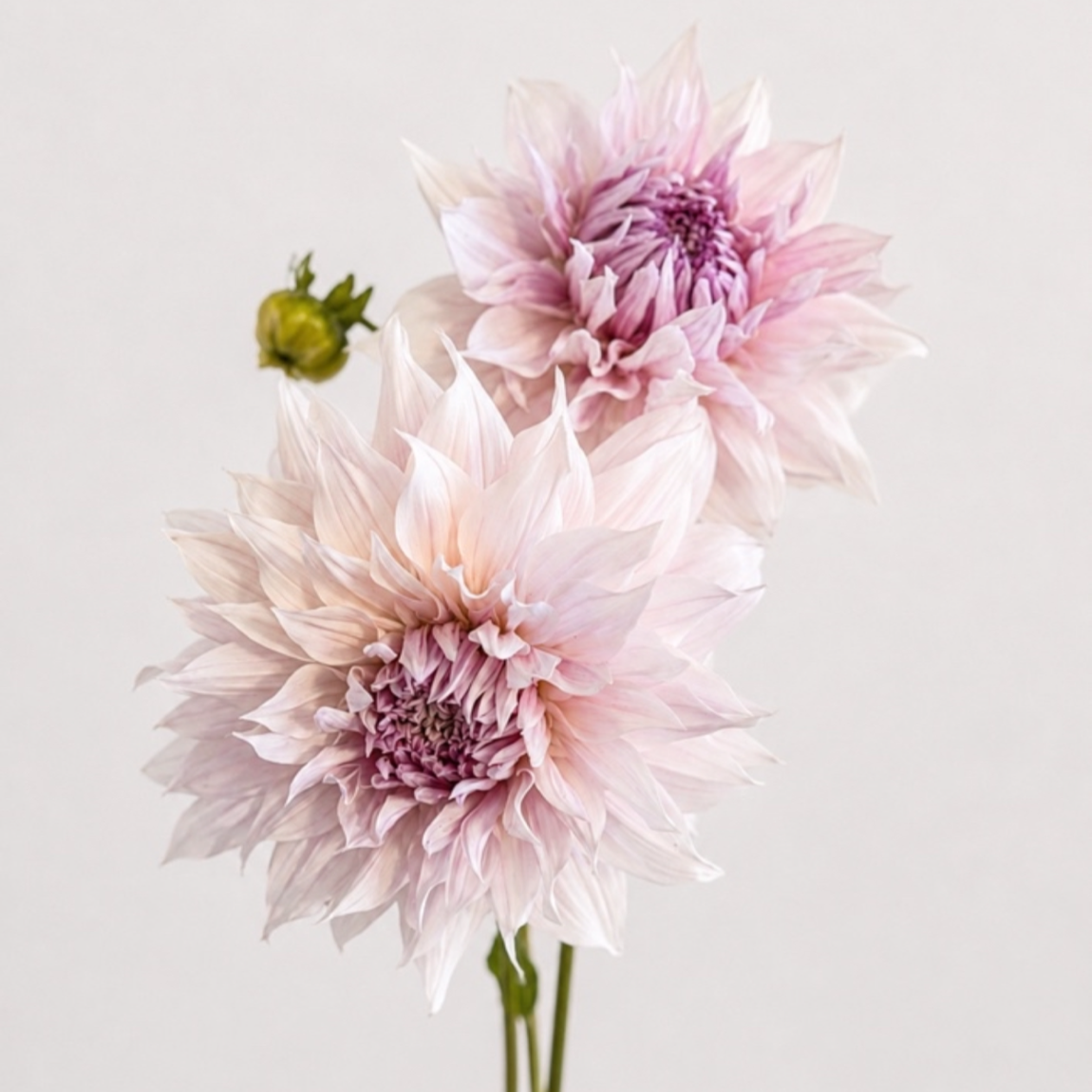 486DA78B-5D4F-40E3-B404-5544E3031DA4.png