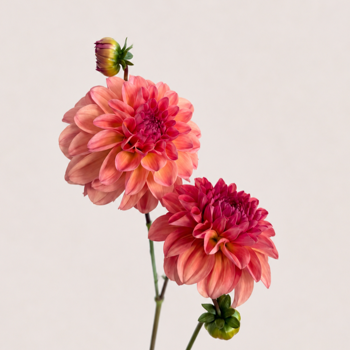 Screenshot%2B2026-09-15%2Bat%2B3.45.42%25E2%2580%25AFPM.png