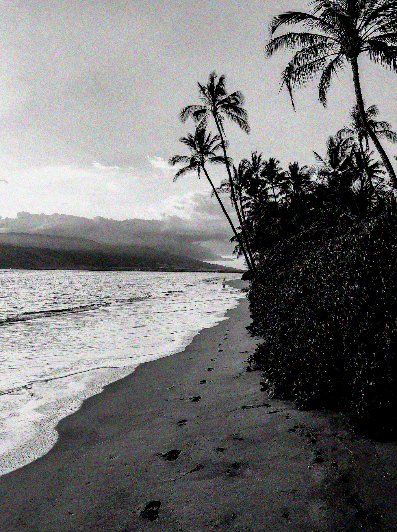 Screenshot 2025-12-30 at 12.00.14 AM.png