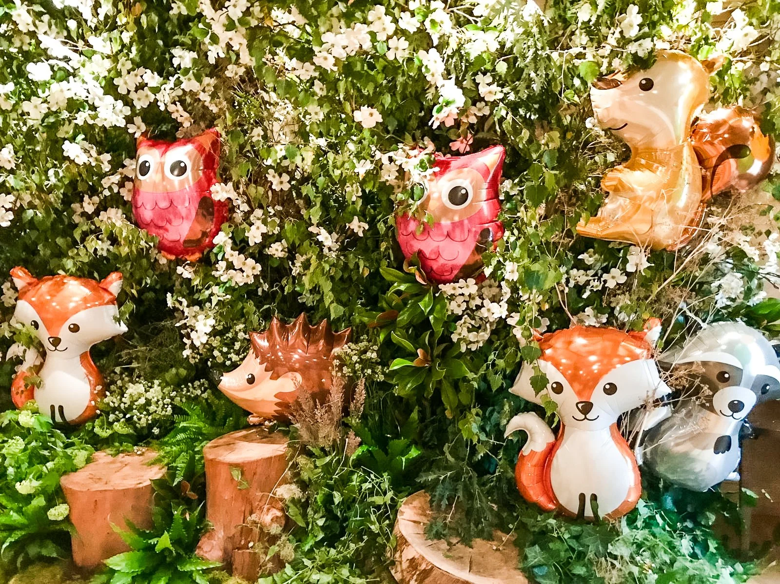 nikki tibbles connaught (1).jpg