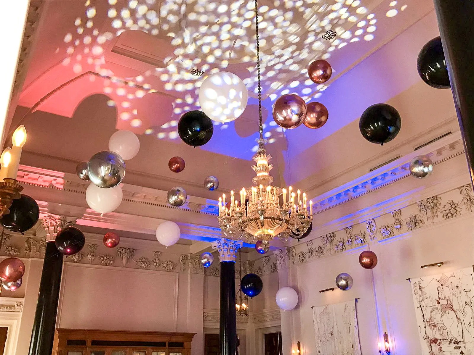 the ned darker suspended (2).jpg