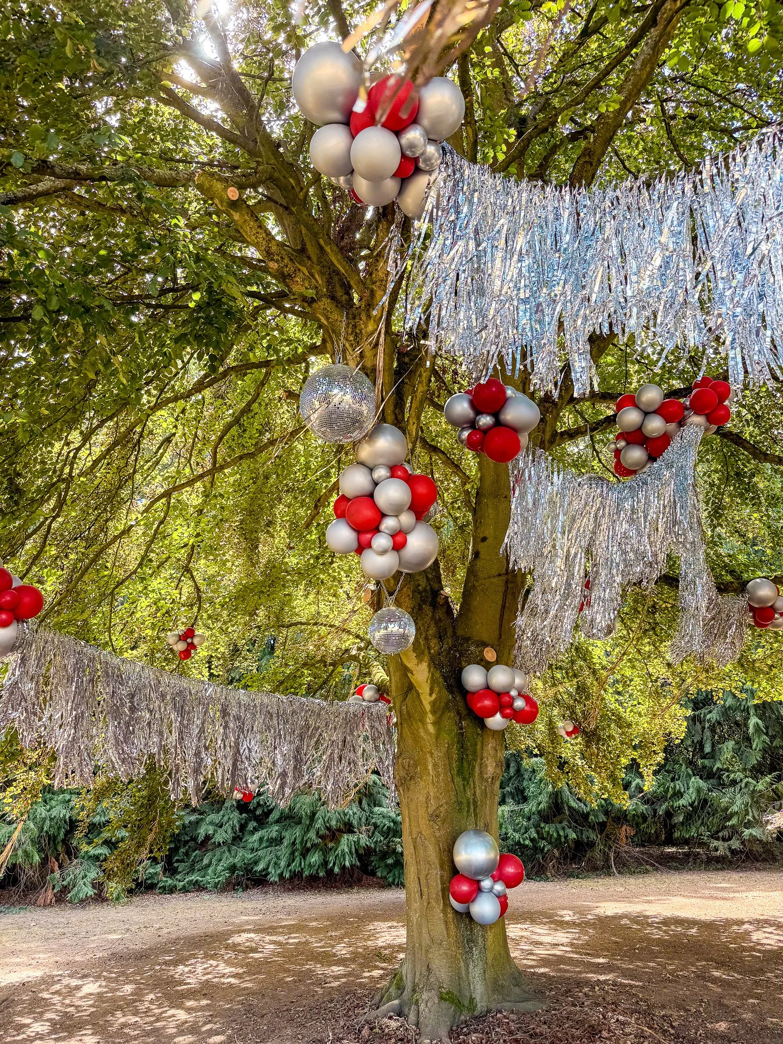 Tassel Fringe Balloon Tree Installation Saltburn Party