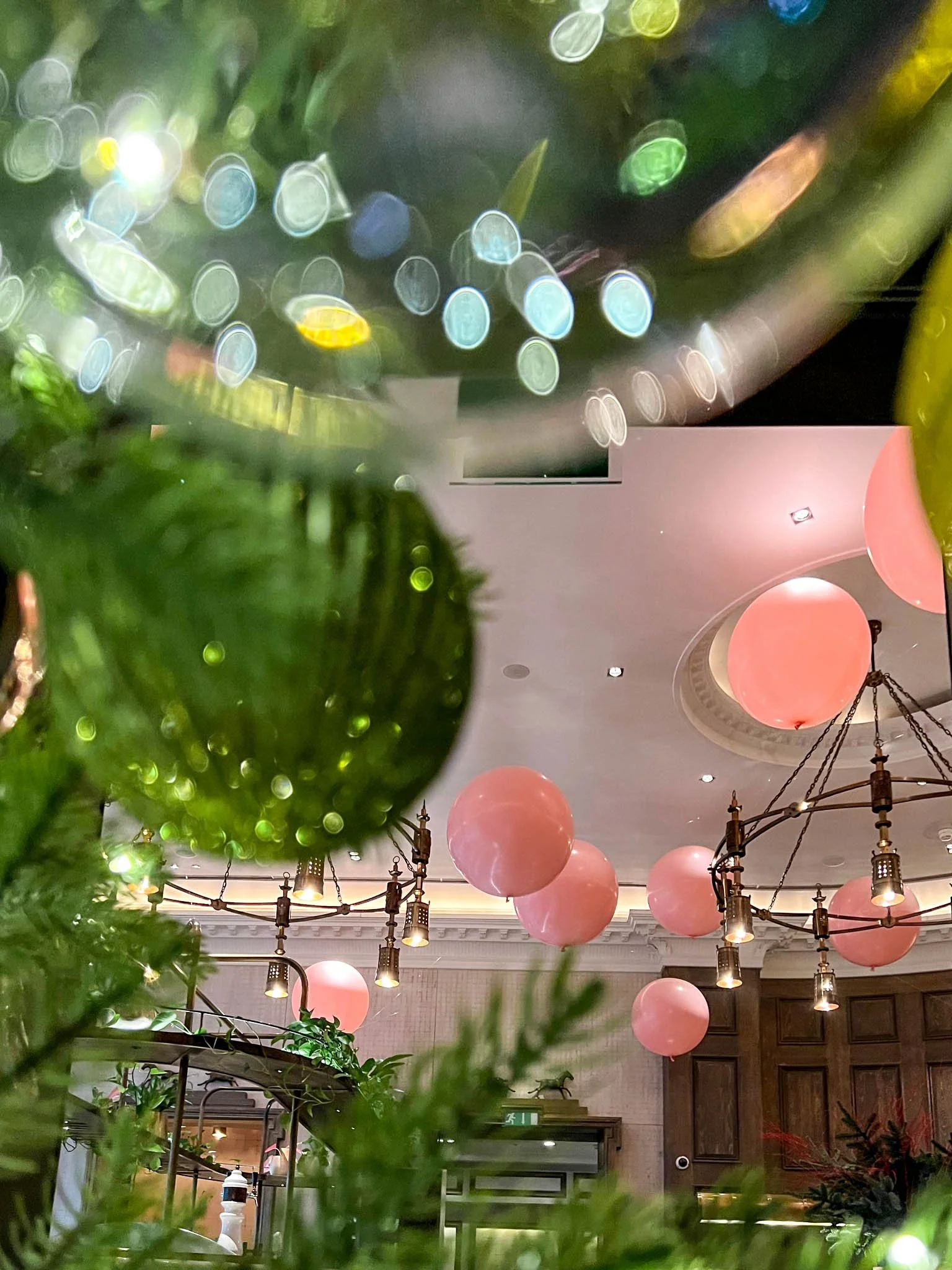 WhatsApp Image 2022-12-31 at 11.31.46 (1).jpg