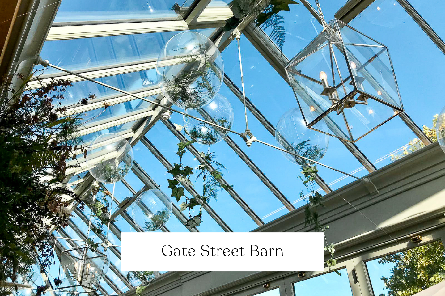 Hanging balloons from a glass roof ceiling with foliage. 