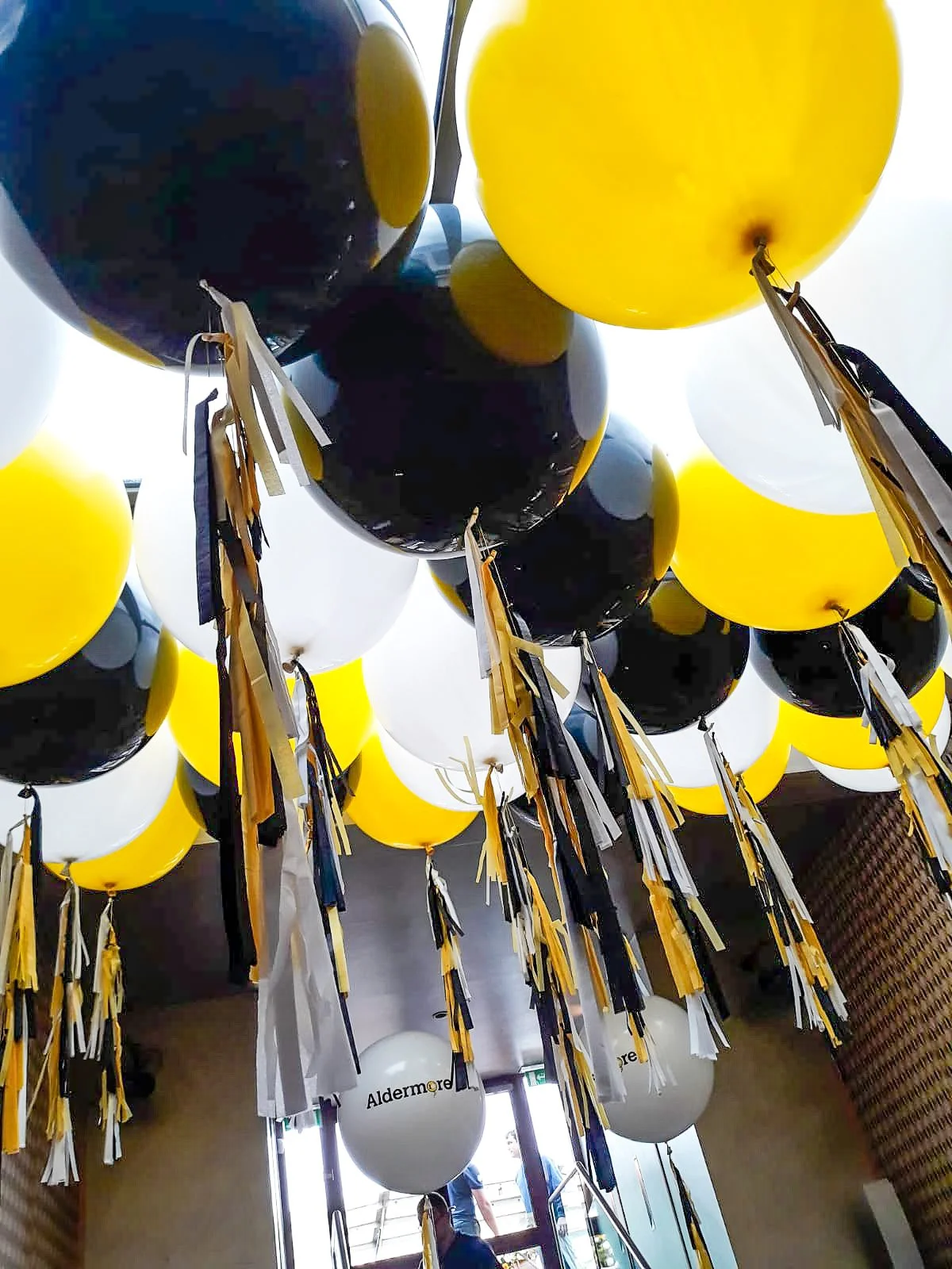 Aldermore Sturgeon (1).jpg