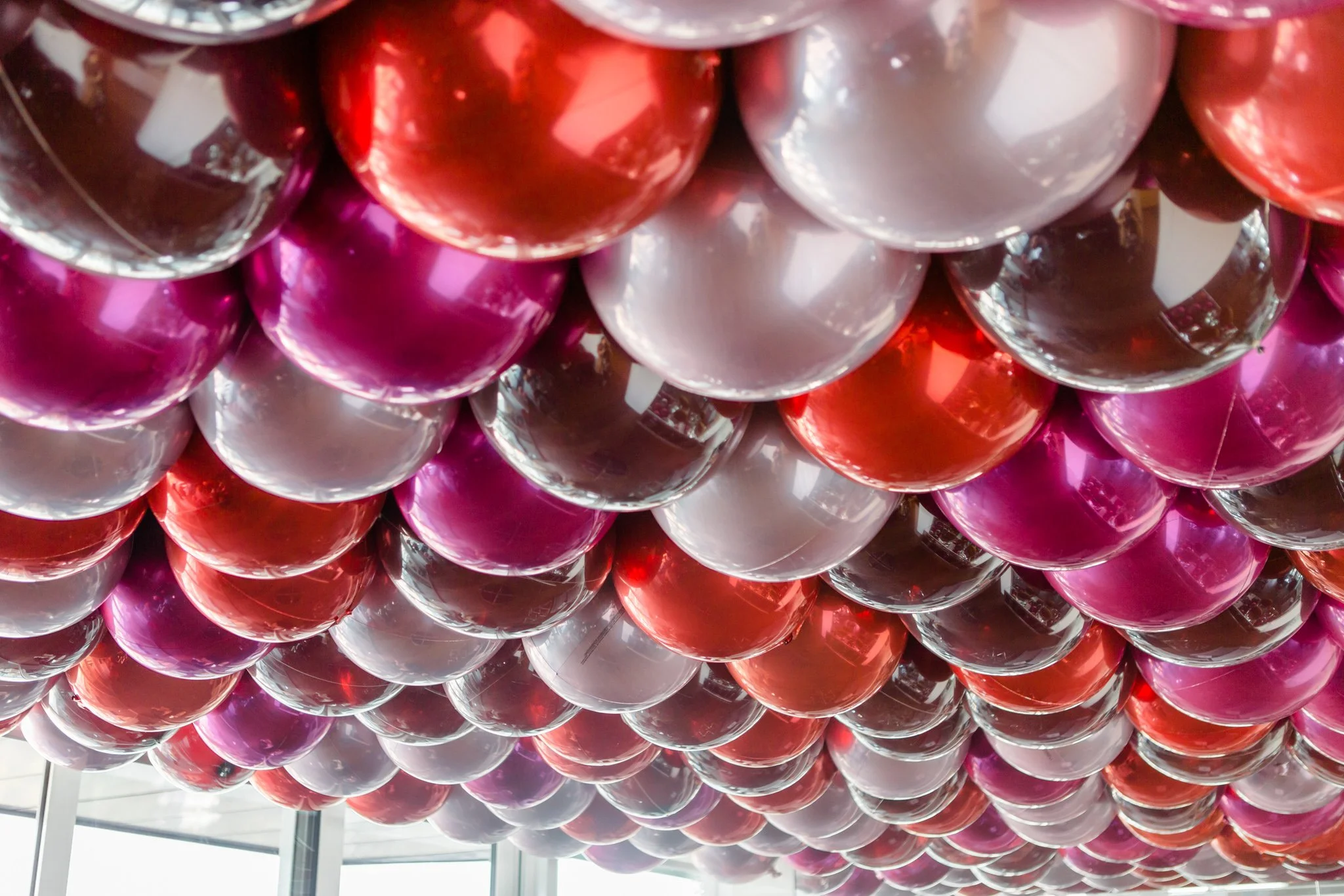 amiebone_fourseasons_valentines_062 terriloriphoto (14).jpg