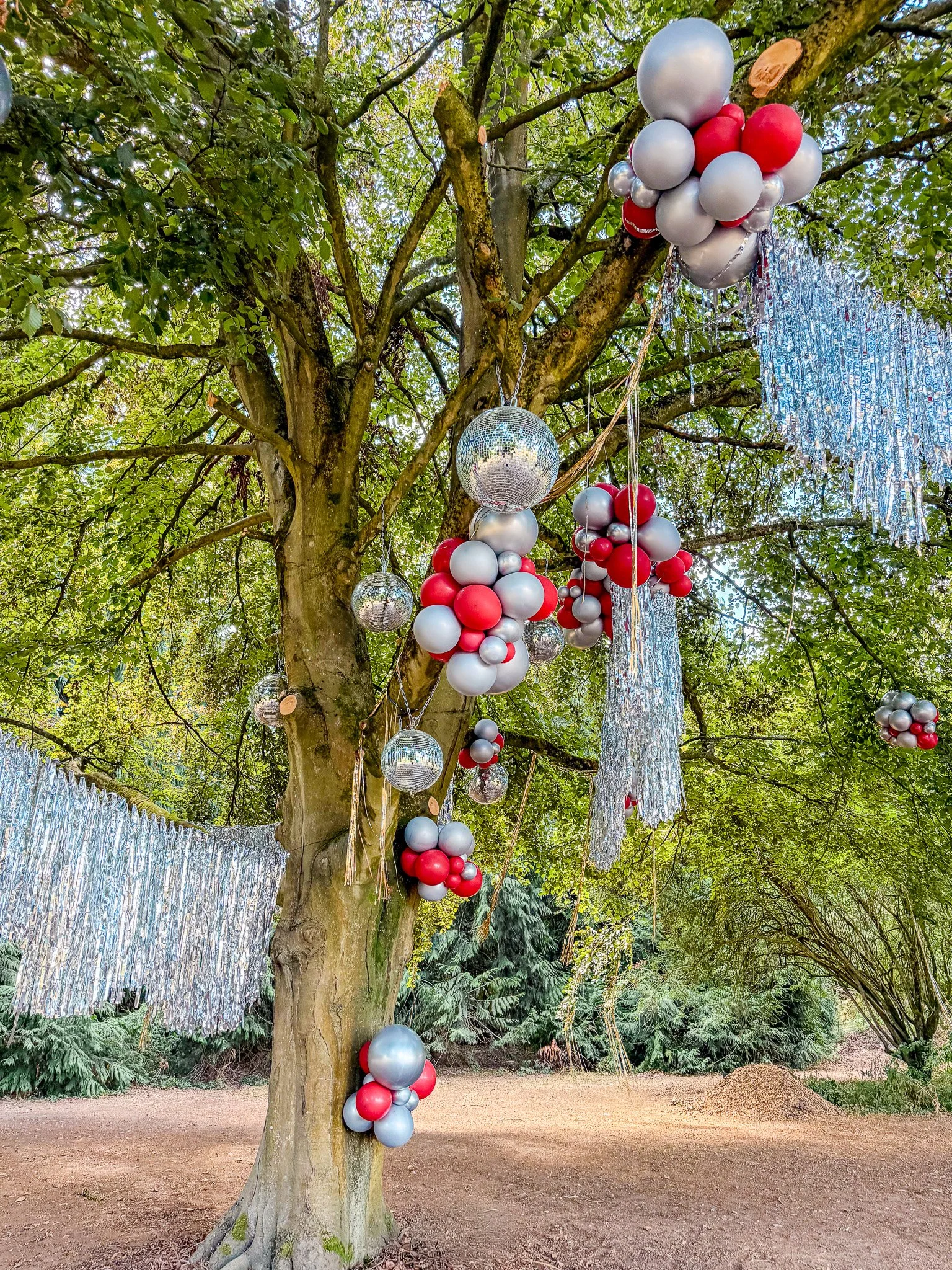 Tassel Fringe Balloon Tree Installation Saltburn Party