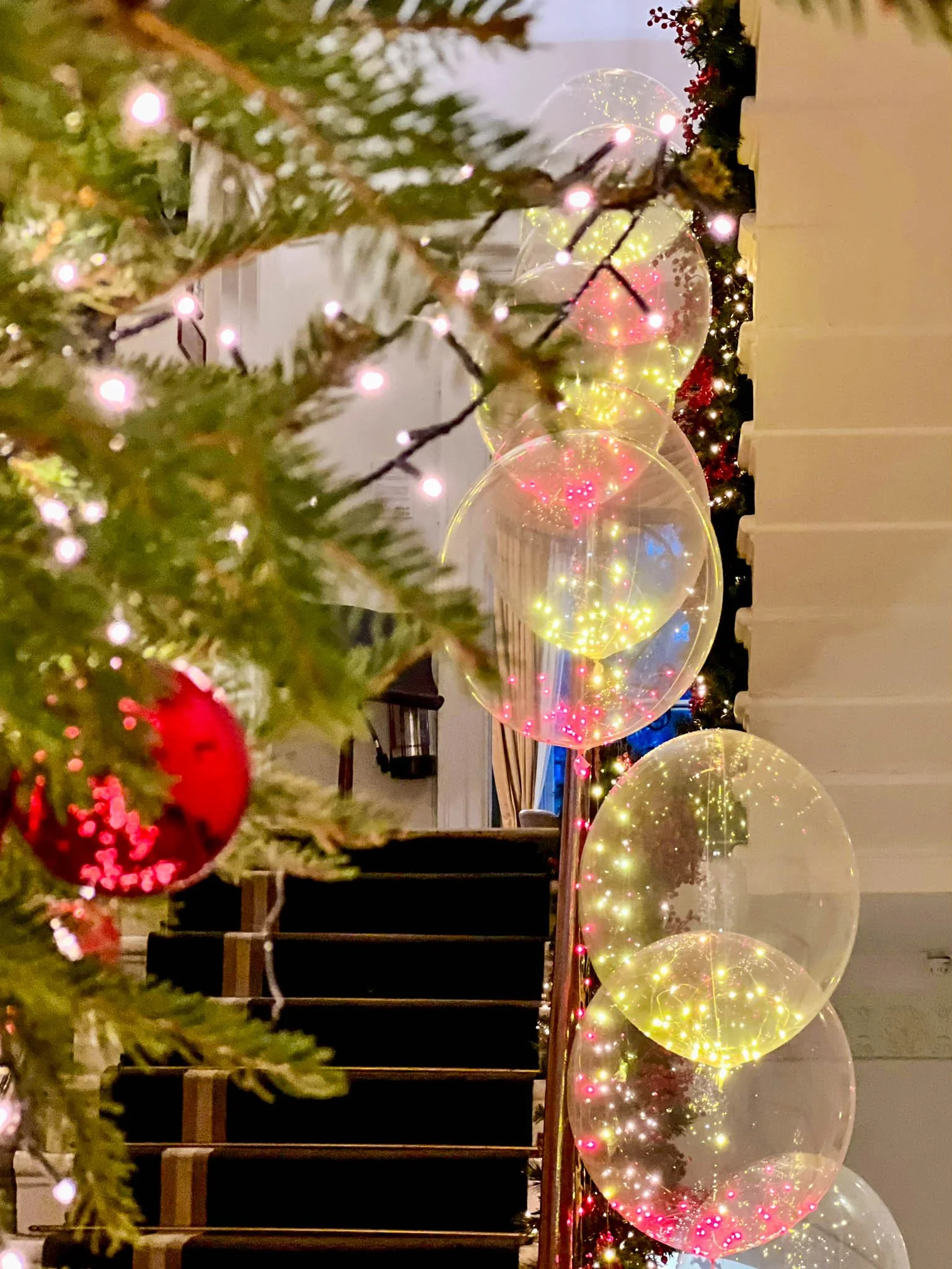 WhatsApp Image 2022-12-31 at 17.08.10 (1).jpg