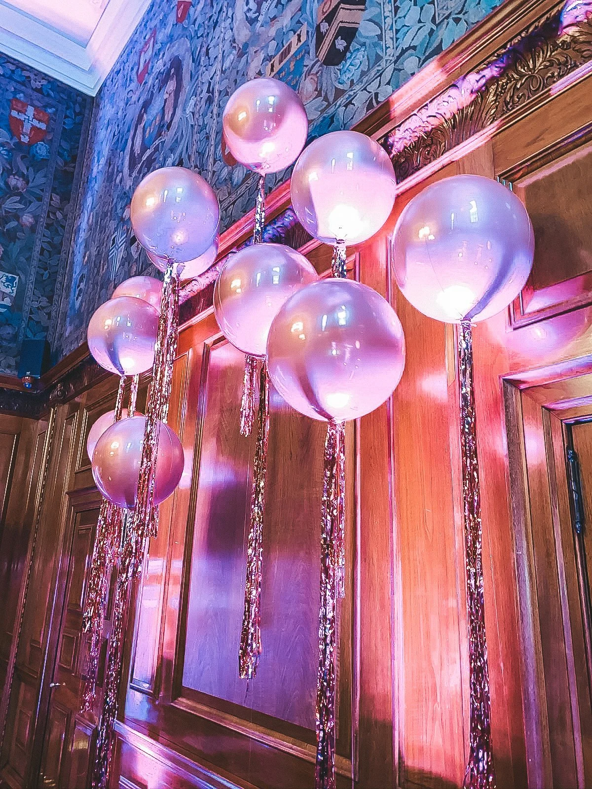 the ned showcase (9).jpg