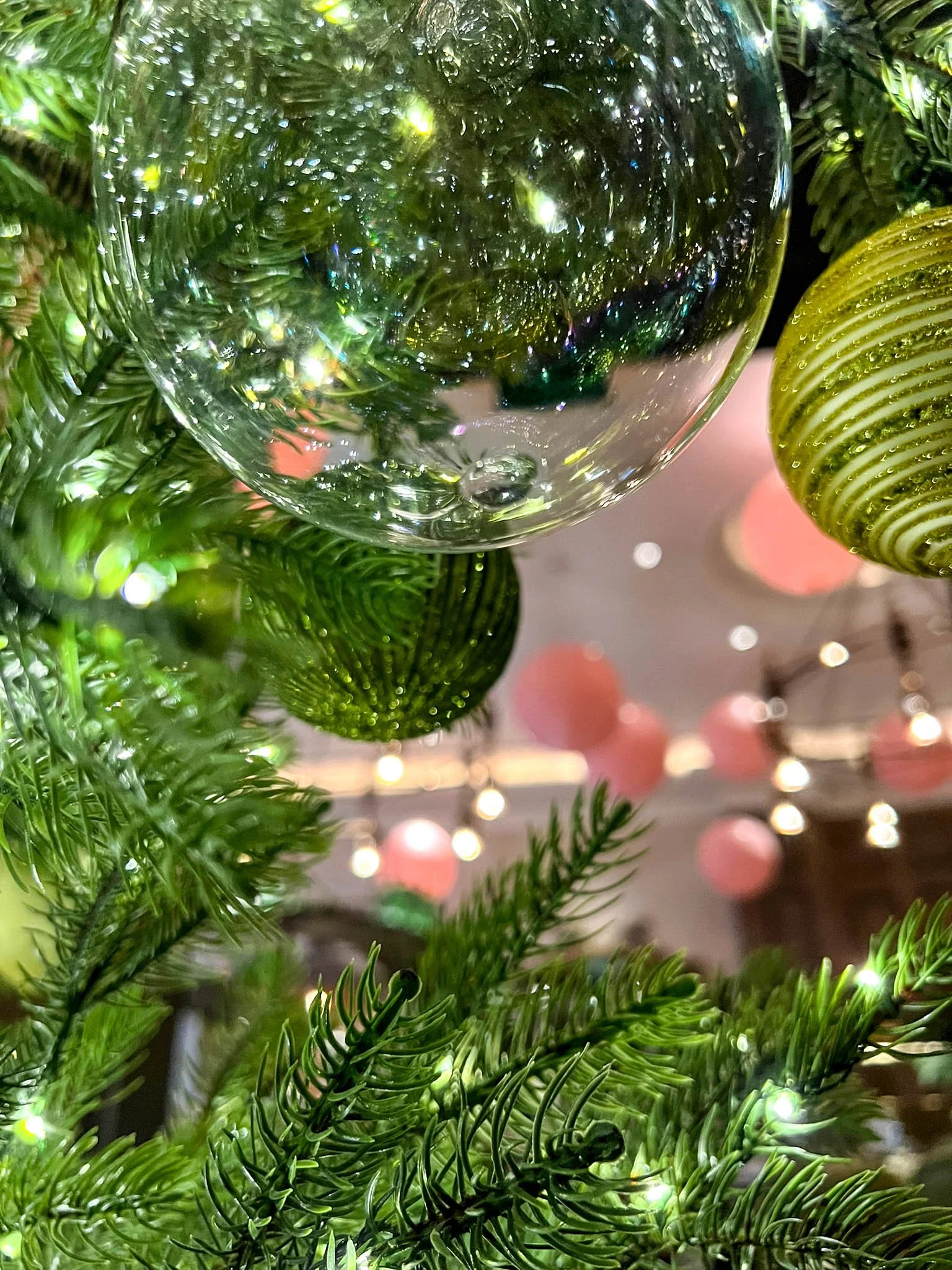 WhatsApp Image 2022-12-31 at 11.31.46.jpg