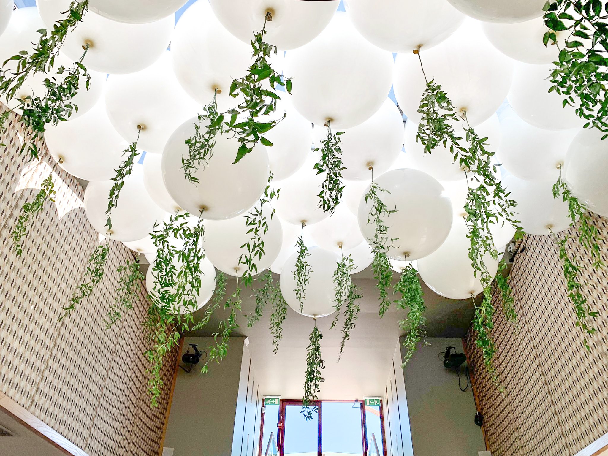 Silver Sturgeon, Wood’s Silver Fleet, Steyn Group, Foliage Giants (2).jpg