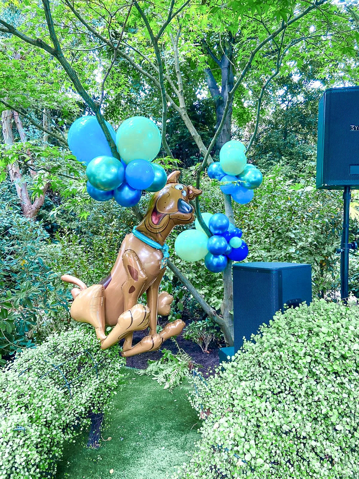 Tatiana RC Scooby Doo Party (3).jpg