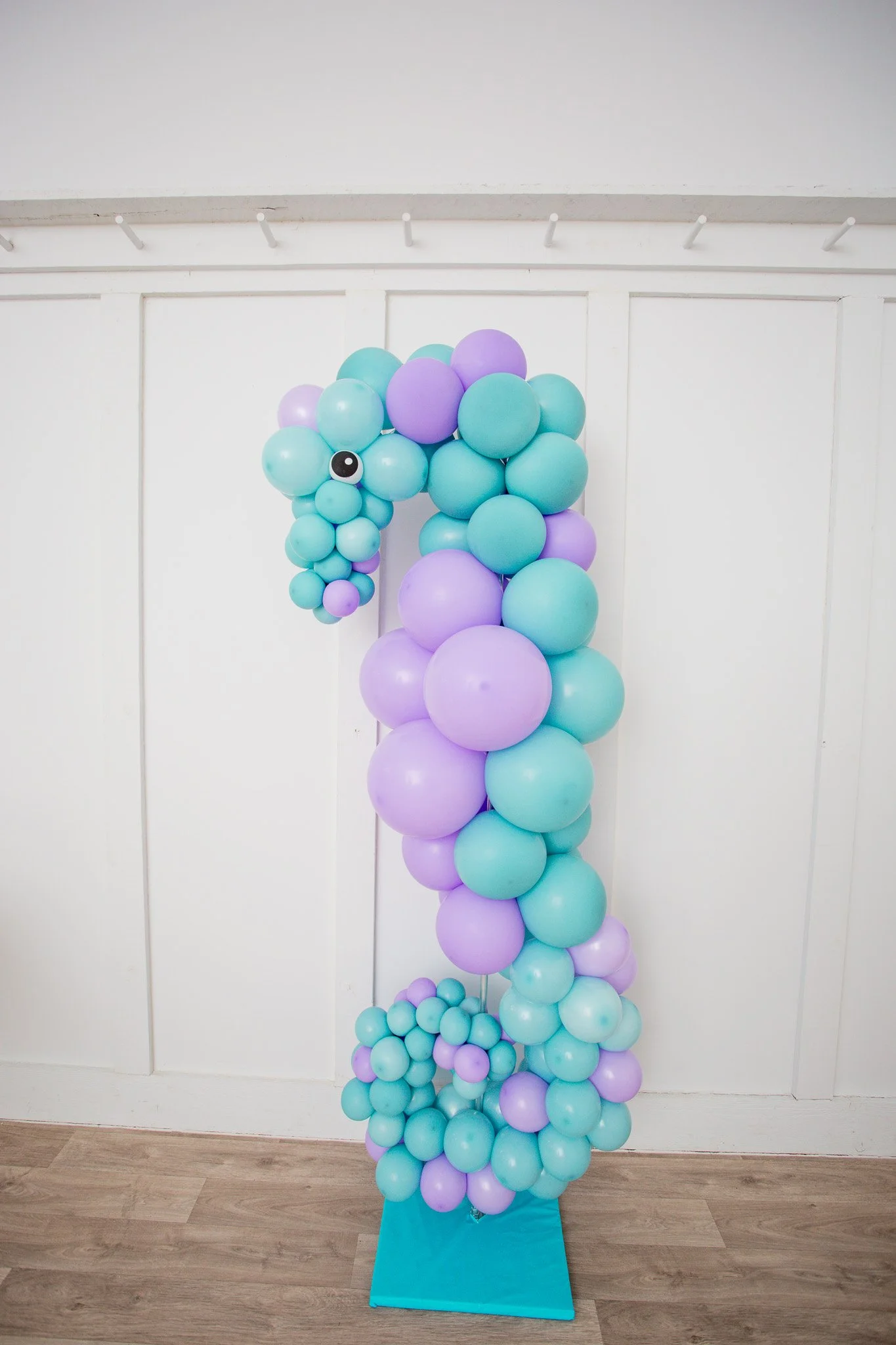 Pro Balloon Training: Seahorse