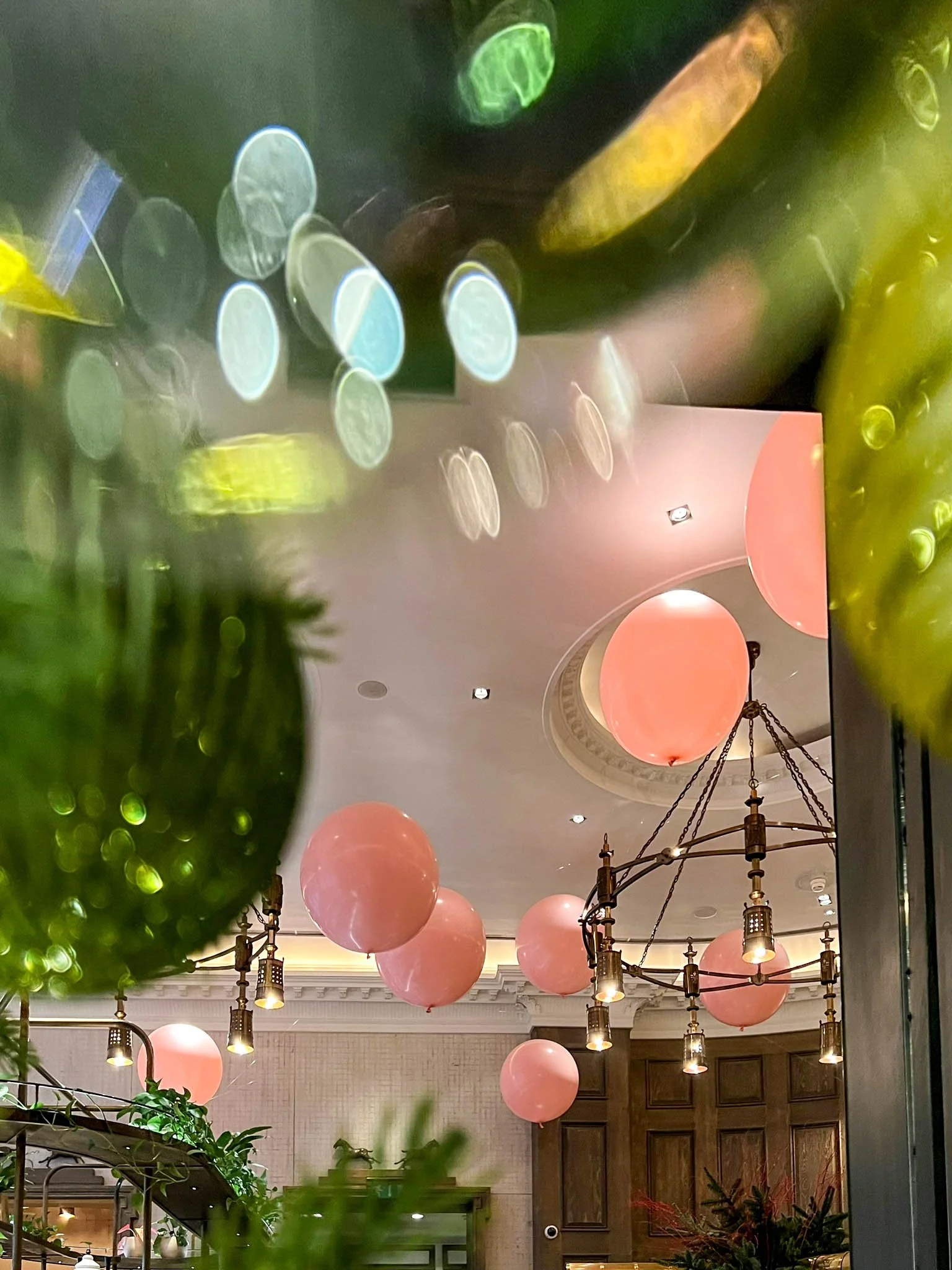 WhatsApp Image 2022-12-31 at 11.31.46 (2).jpg