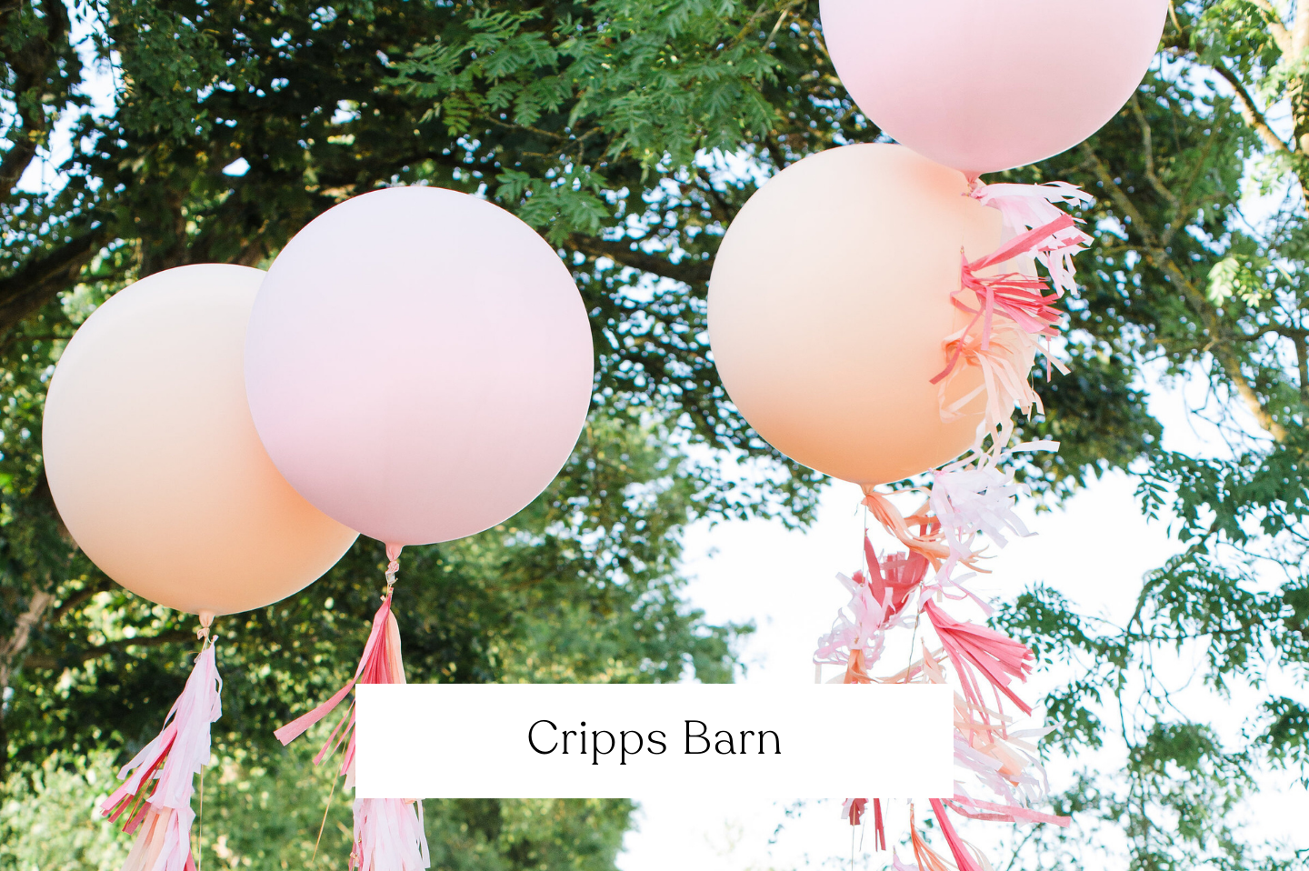 Pink and white balloons tied to pink and white tassel garland hanging in trees at an outdoor event