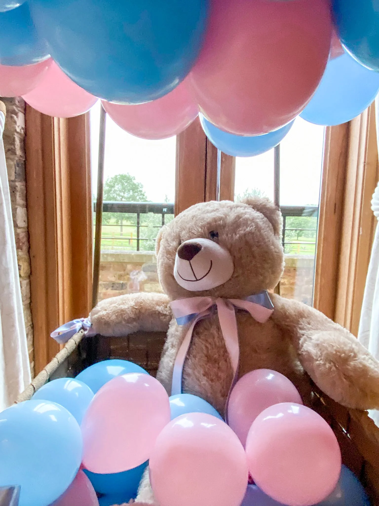 Yaverland - Coworth Park - Hot Air Balloon (3).jpg