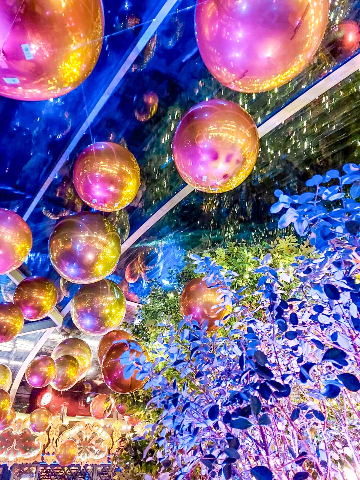 WhatsApp Image 2022-12-31 at 14.43.38.jpg