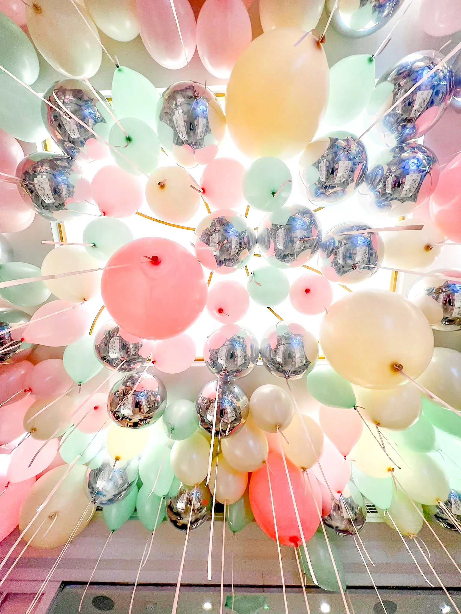 PHOTO-2023-05-13-17-26-41 2.jpg