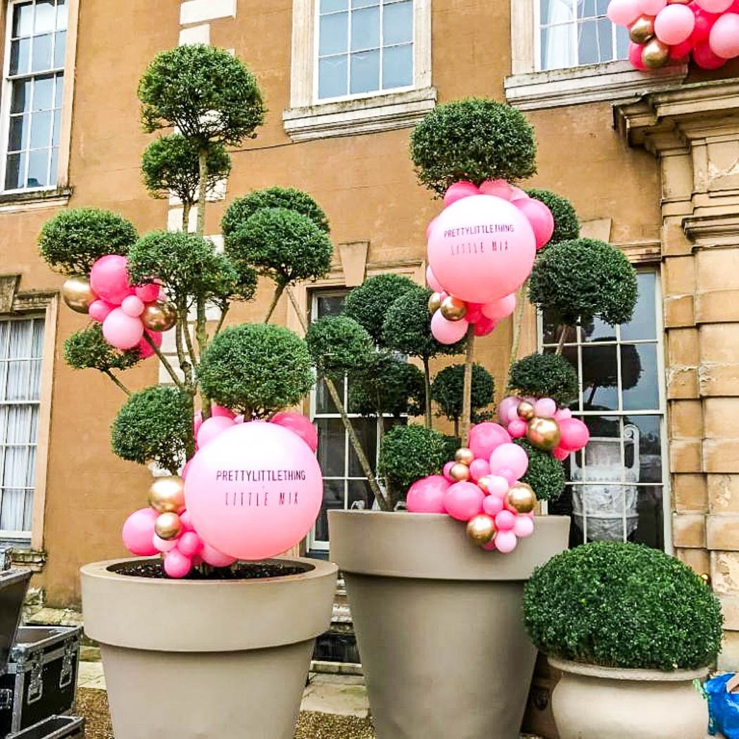 Aynhoe Park, Pretty Little Thing, Little Mix (3) - Large.jpg