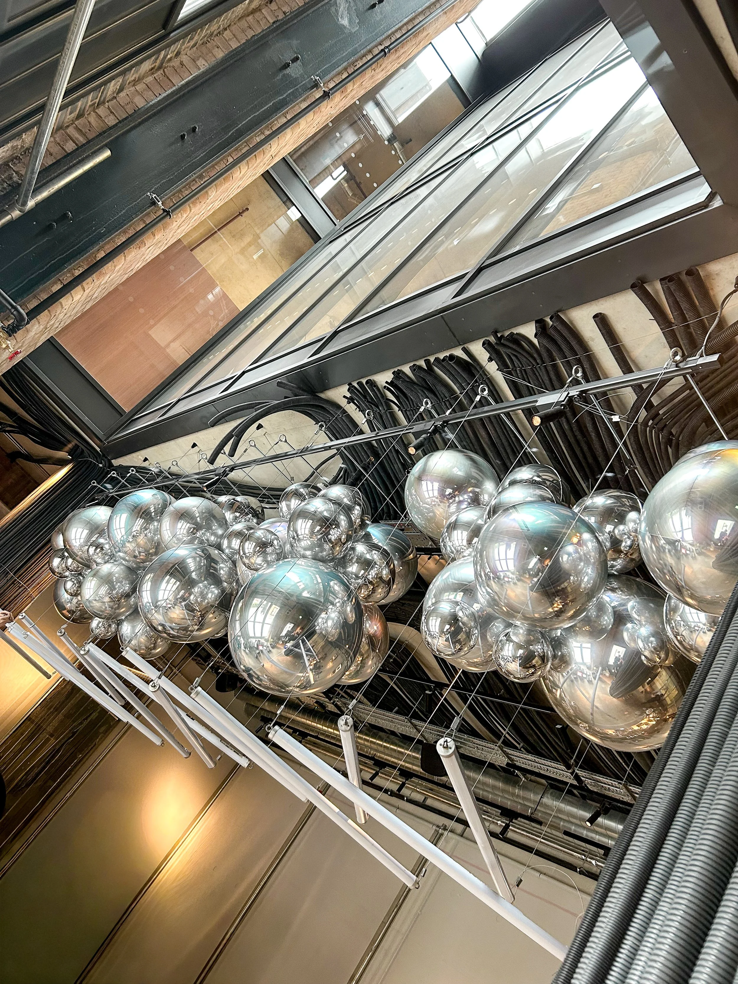 Dove at the Noisy Oyster Restaurant