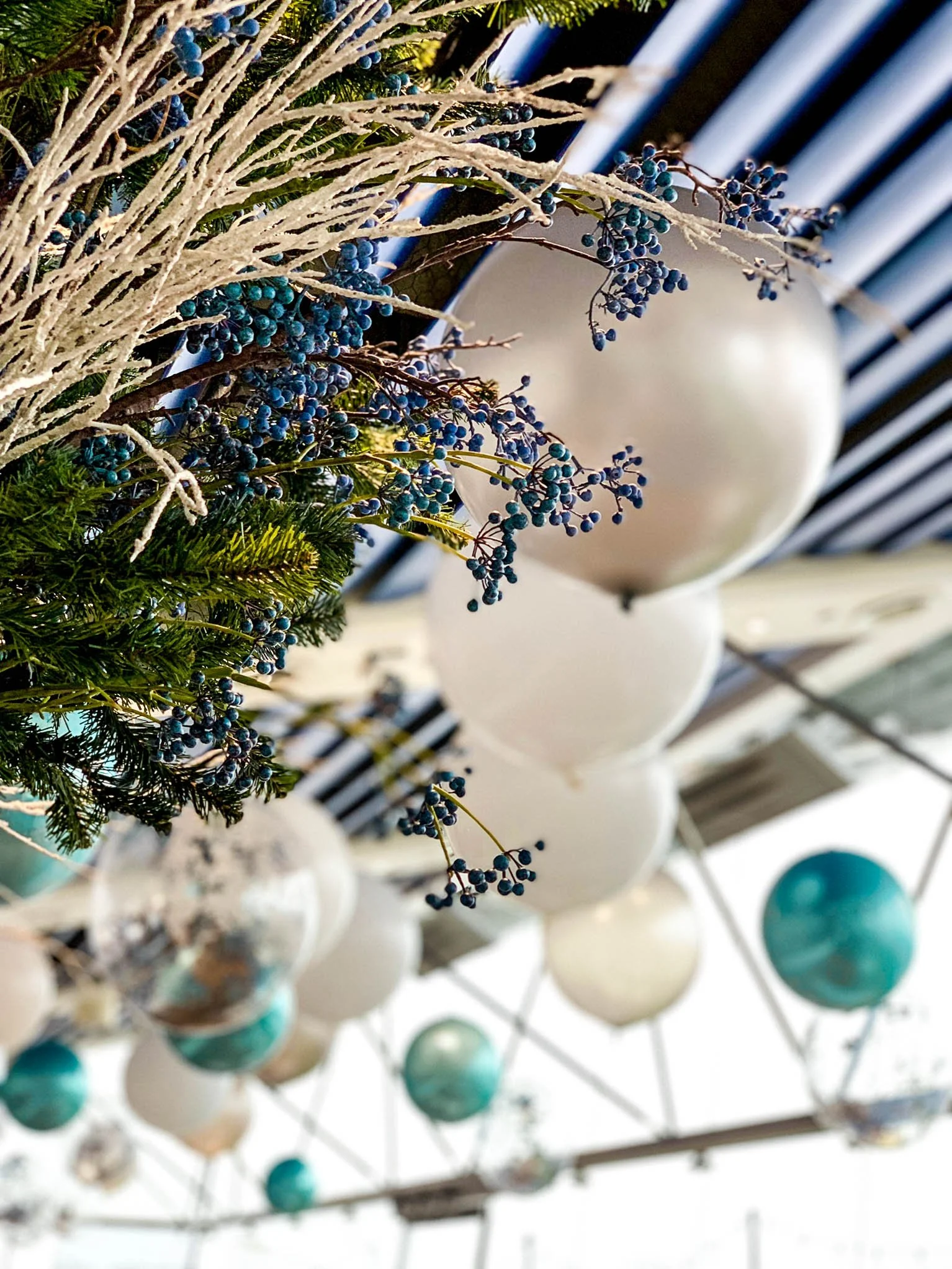 WhatsApp Image 2022-12-30 at 10.53.48 (1).jpg