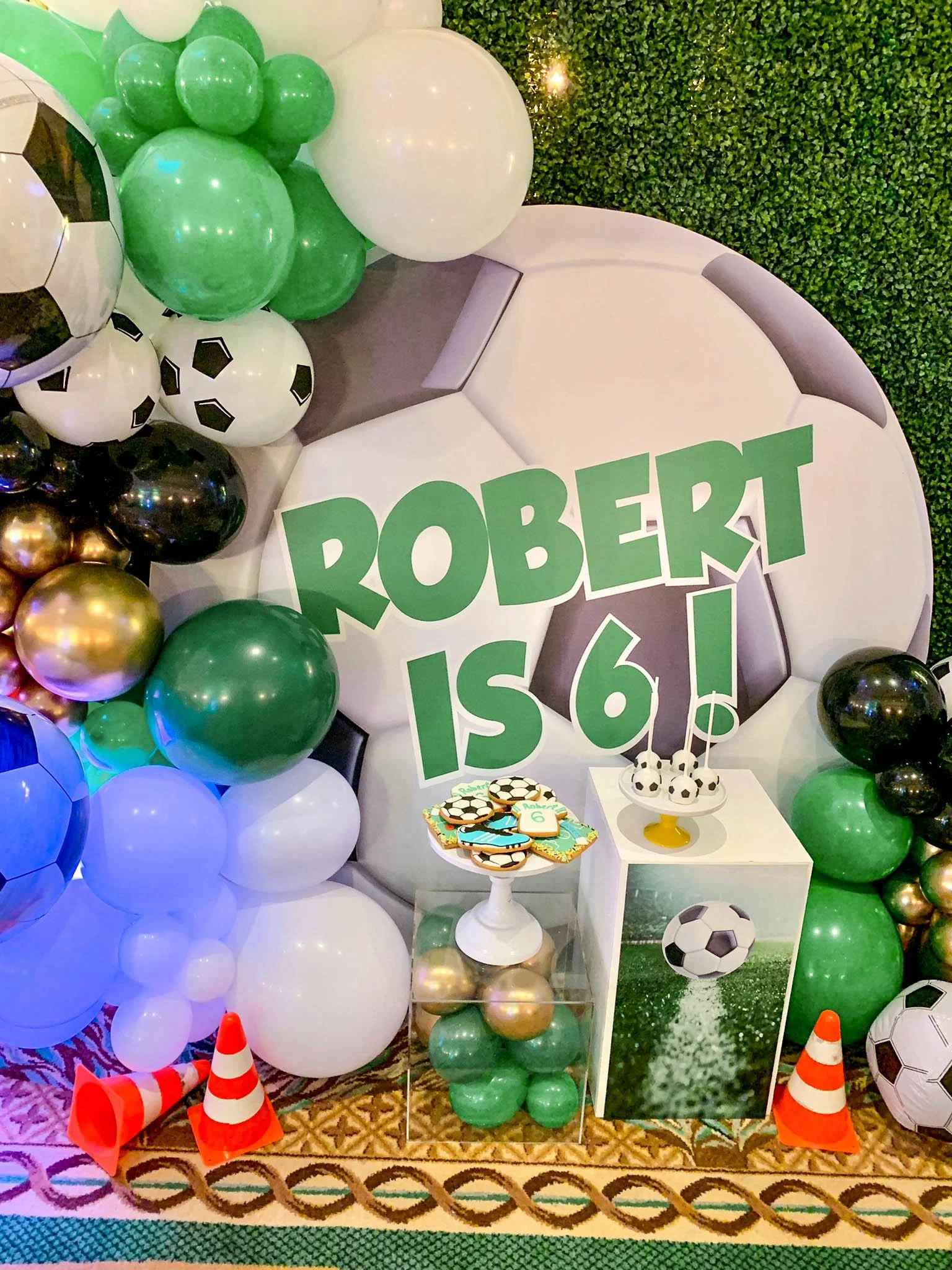 WhatsApp Image 2022-12-16 at 13.01.59-2.jpg