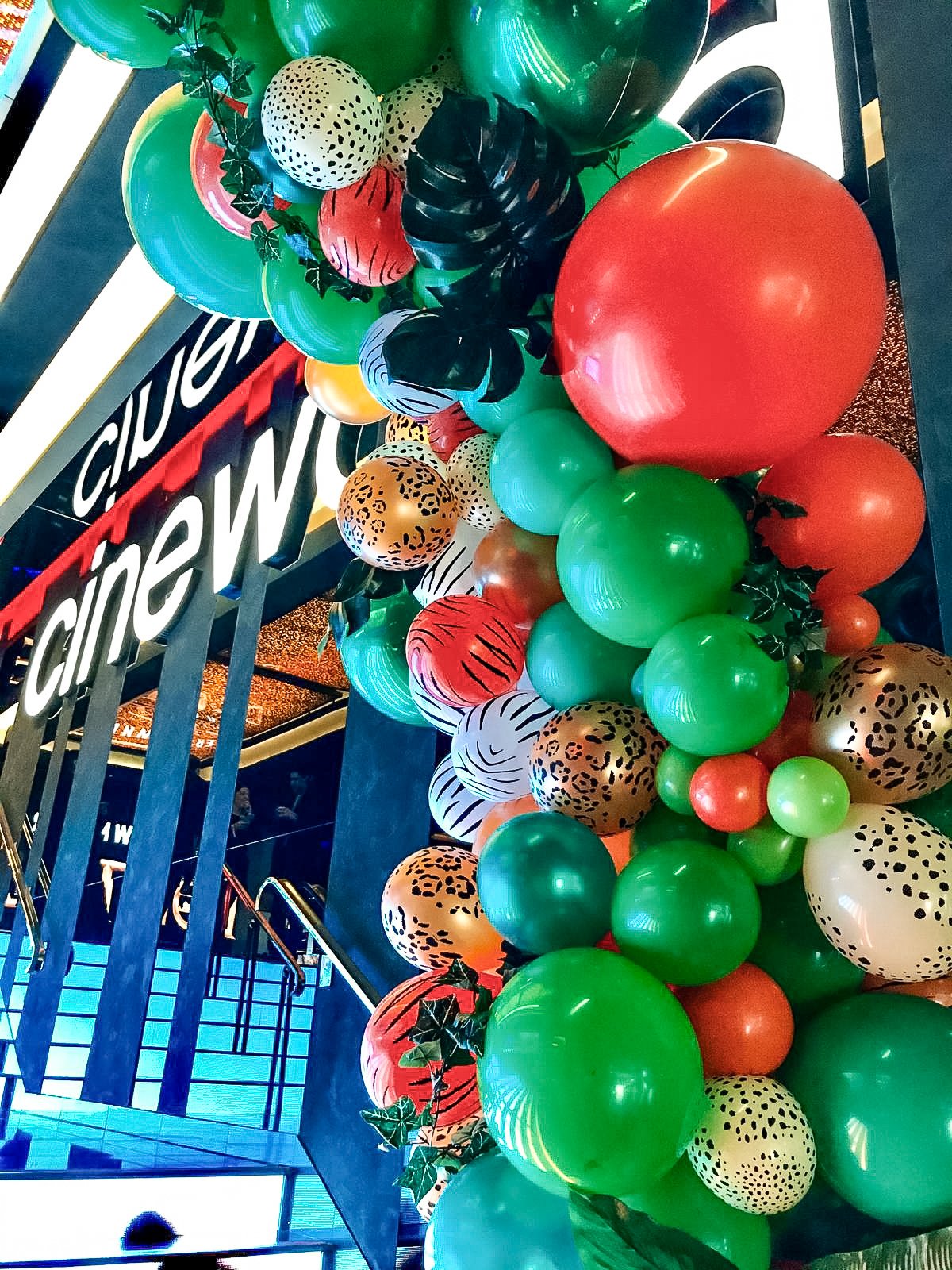 premier comms dr doolittle premier (1).jpg