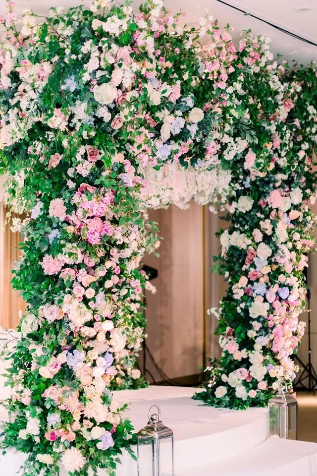 amie bone, the grove, sanshine (1).jpg