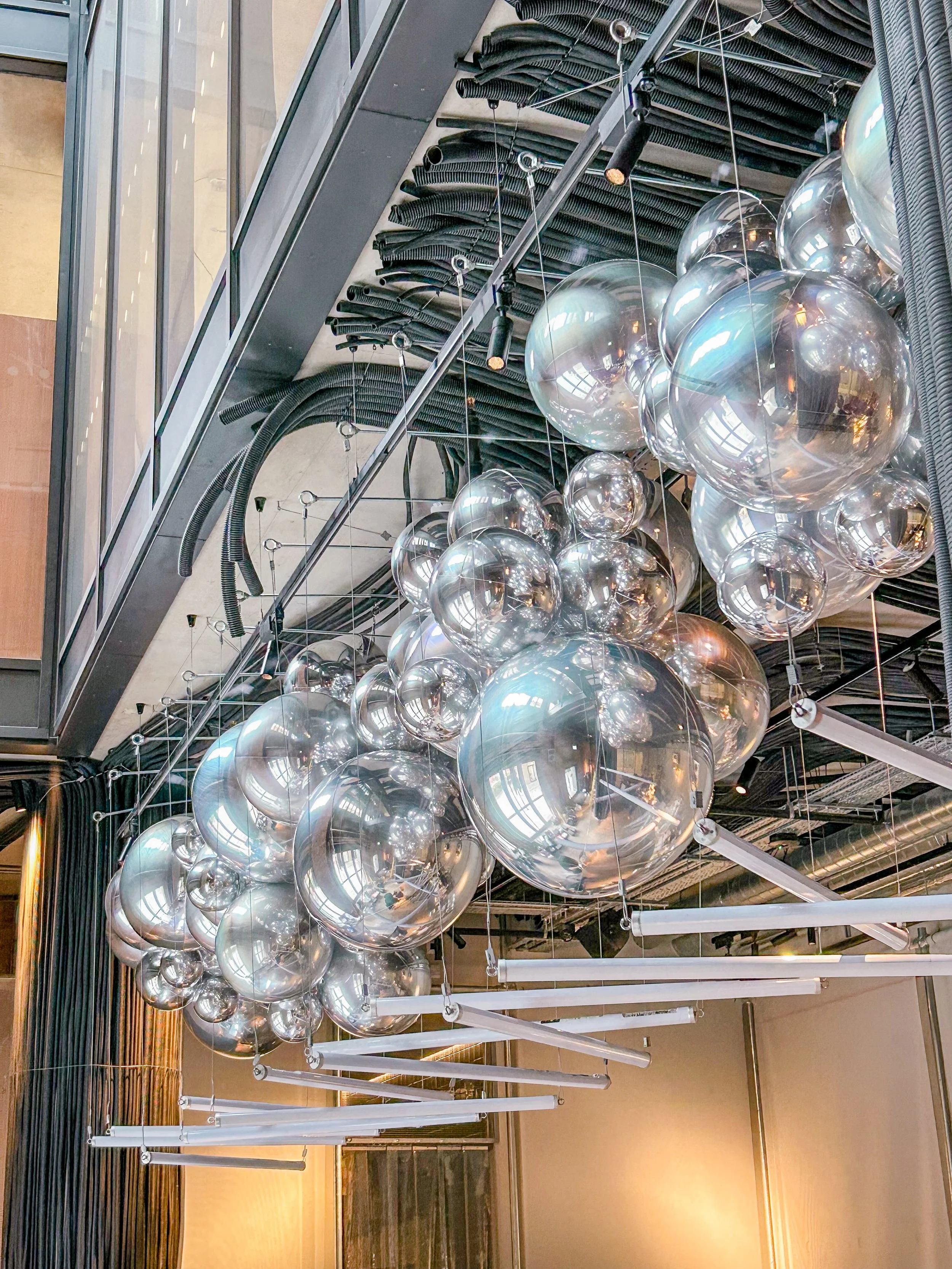 Dove at the Noisy Oyster Restaurant