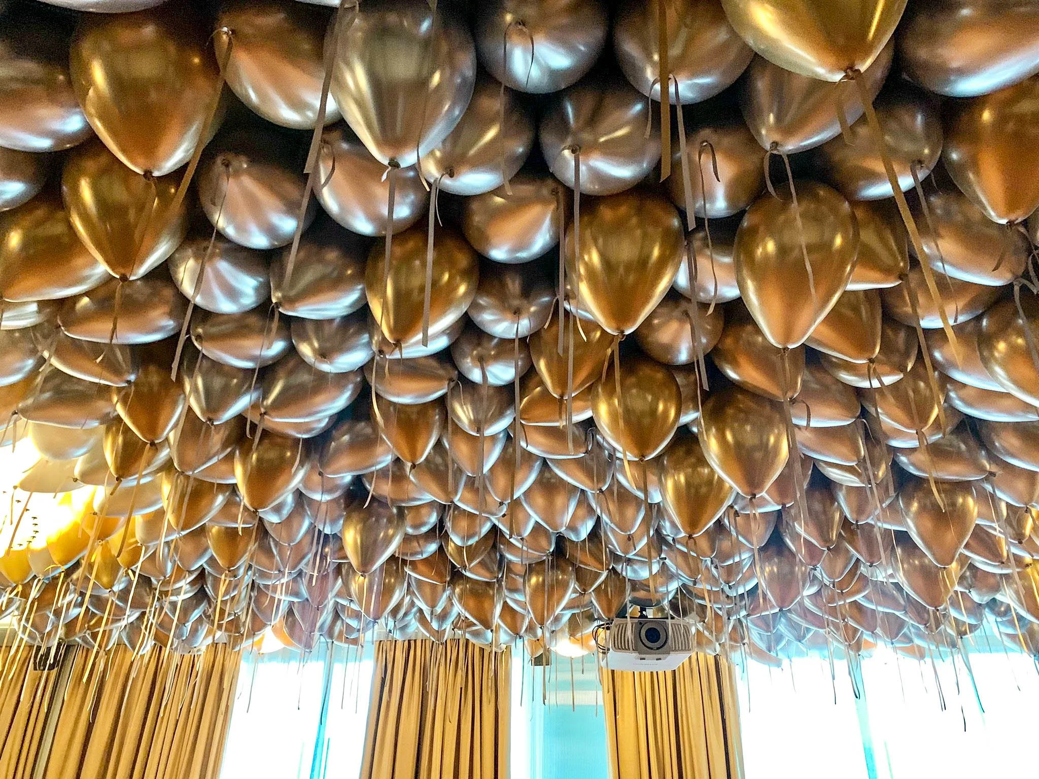 PHOTO-2022-11-12-16-35-40 2.jpg