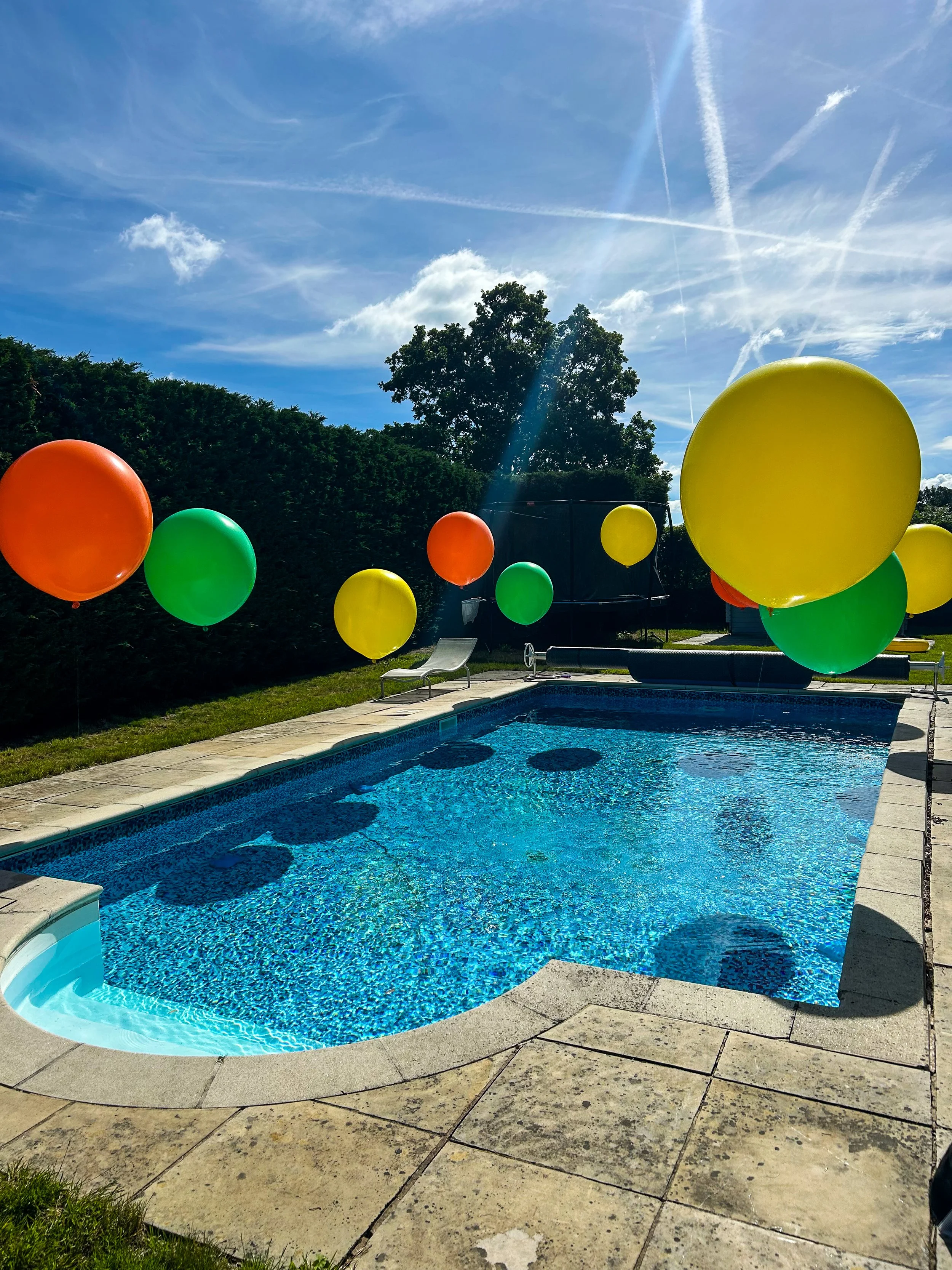 Swimming Pool Suspended Install Farmyard Animal Sitters