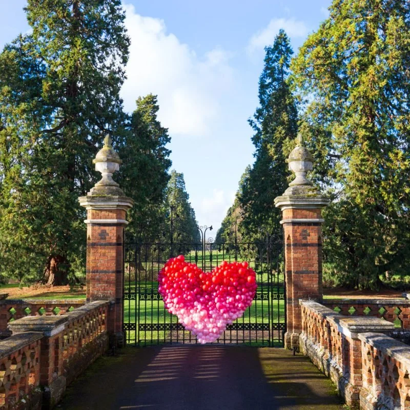 web-res-elvetham-valentines-shoot-24-800x800.jpg